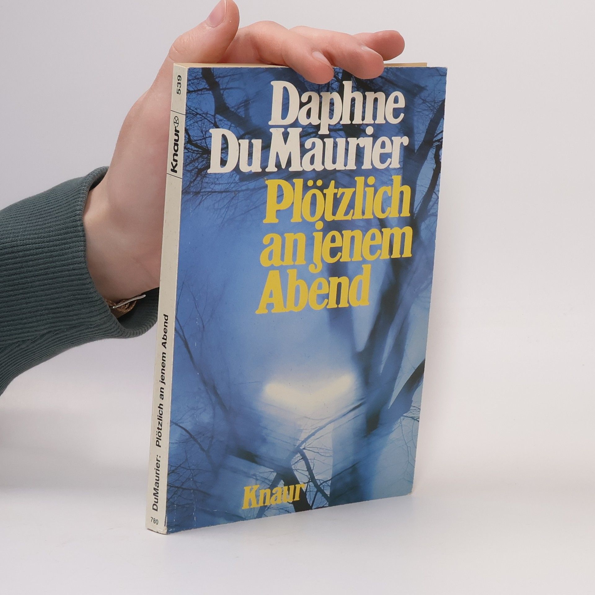 Daphne du Maurier Plötzlich an jenem Abend