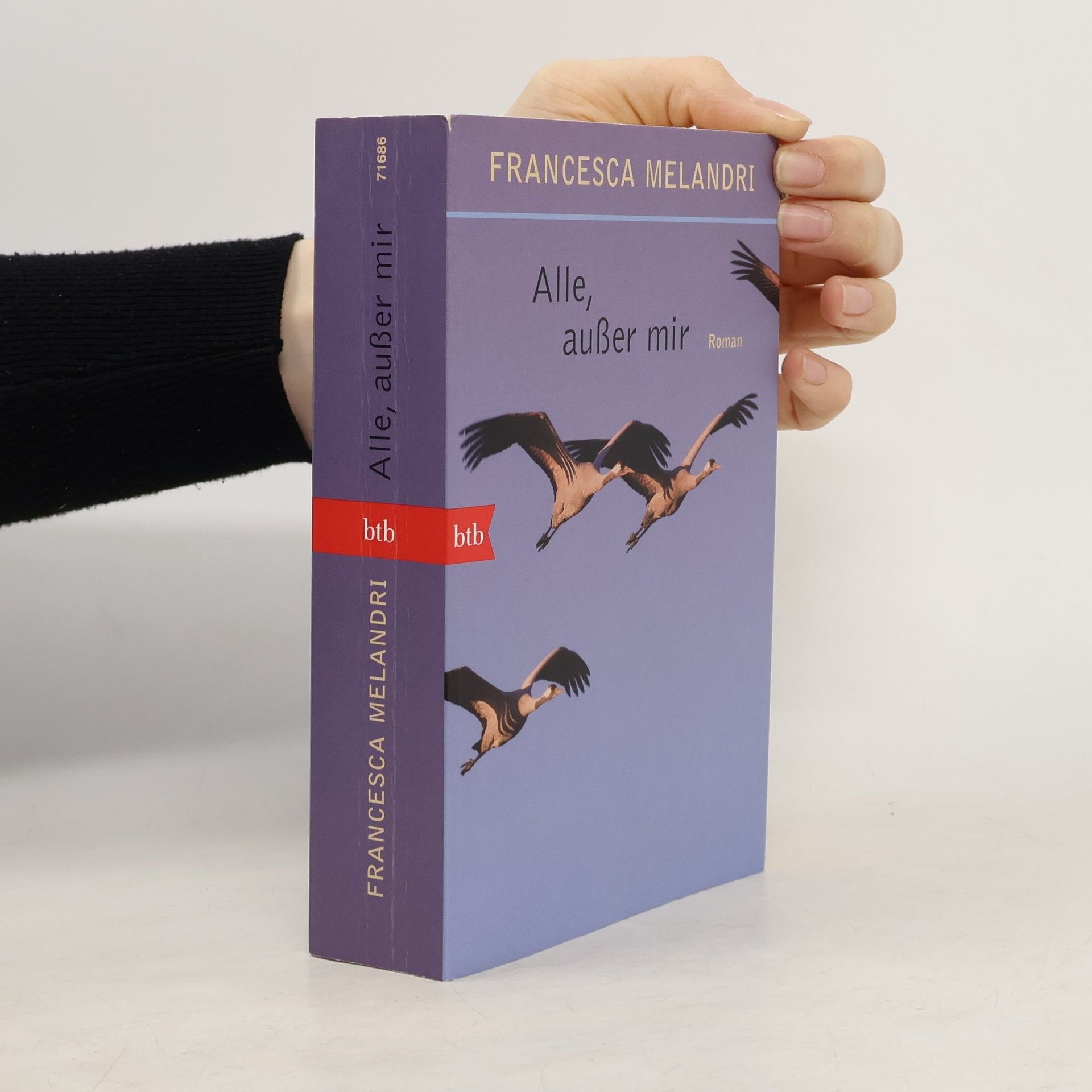 Francesca Melandri Alle, außer mir