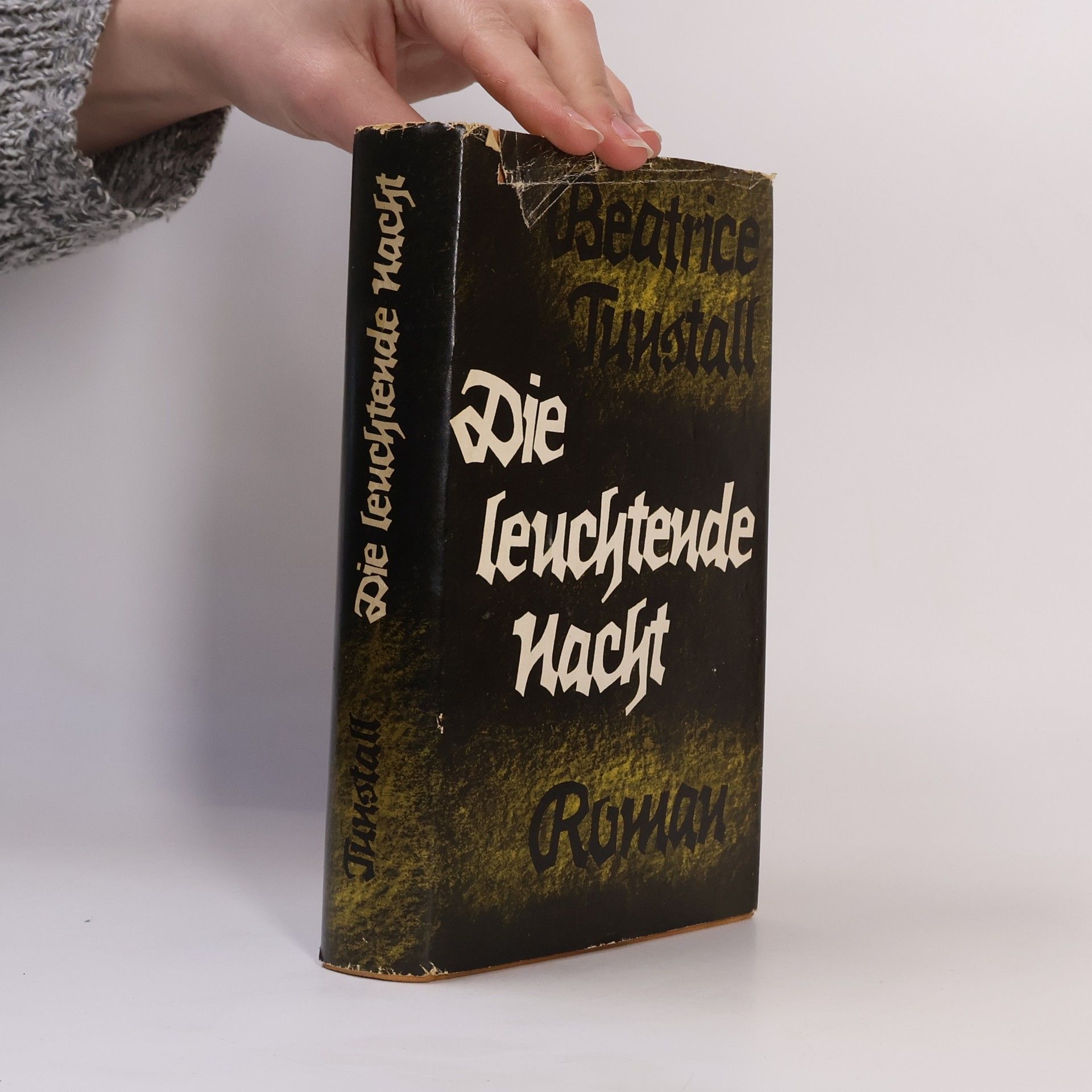 Beatrice Tunstall Die leuchtende Nacht