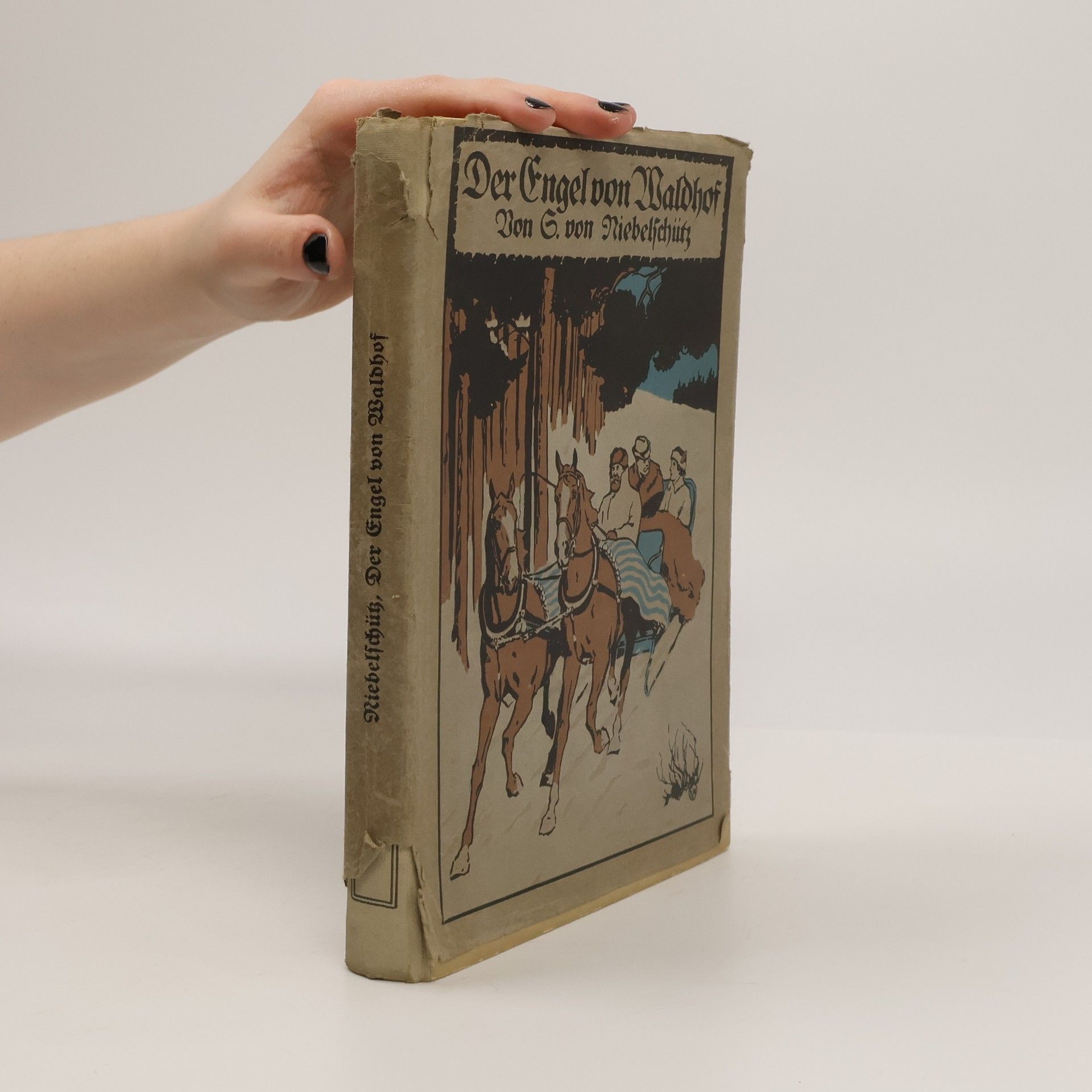 Sophie von Niebelschütz Der Engel von Waldhof