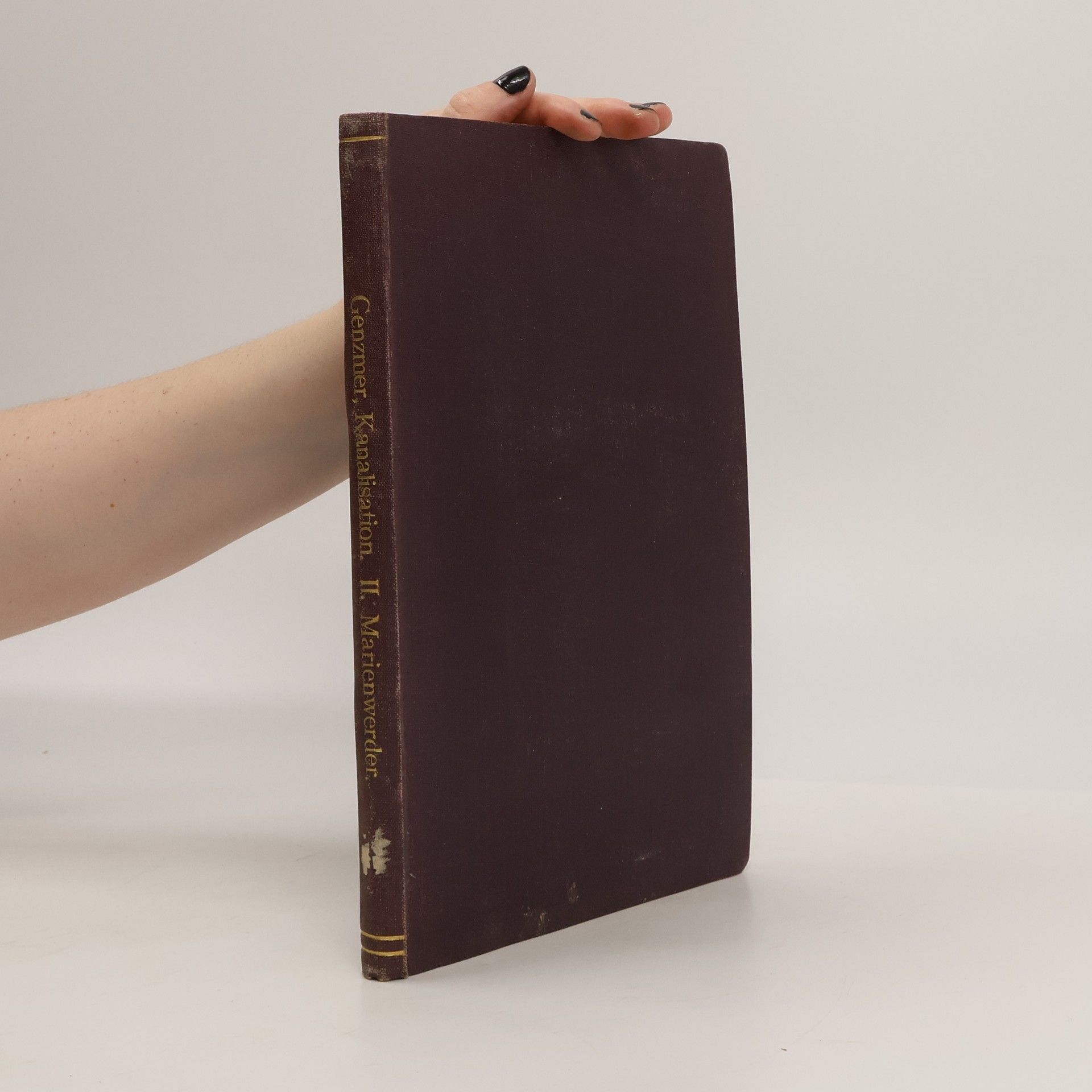 Ewald Genzmer Kanalisation der Klein-und Mittel-Städte II