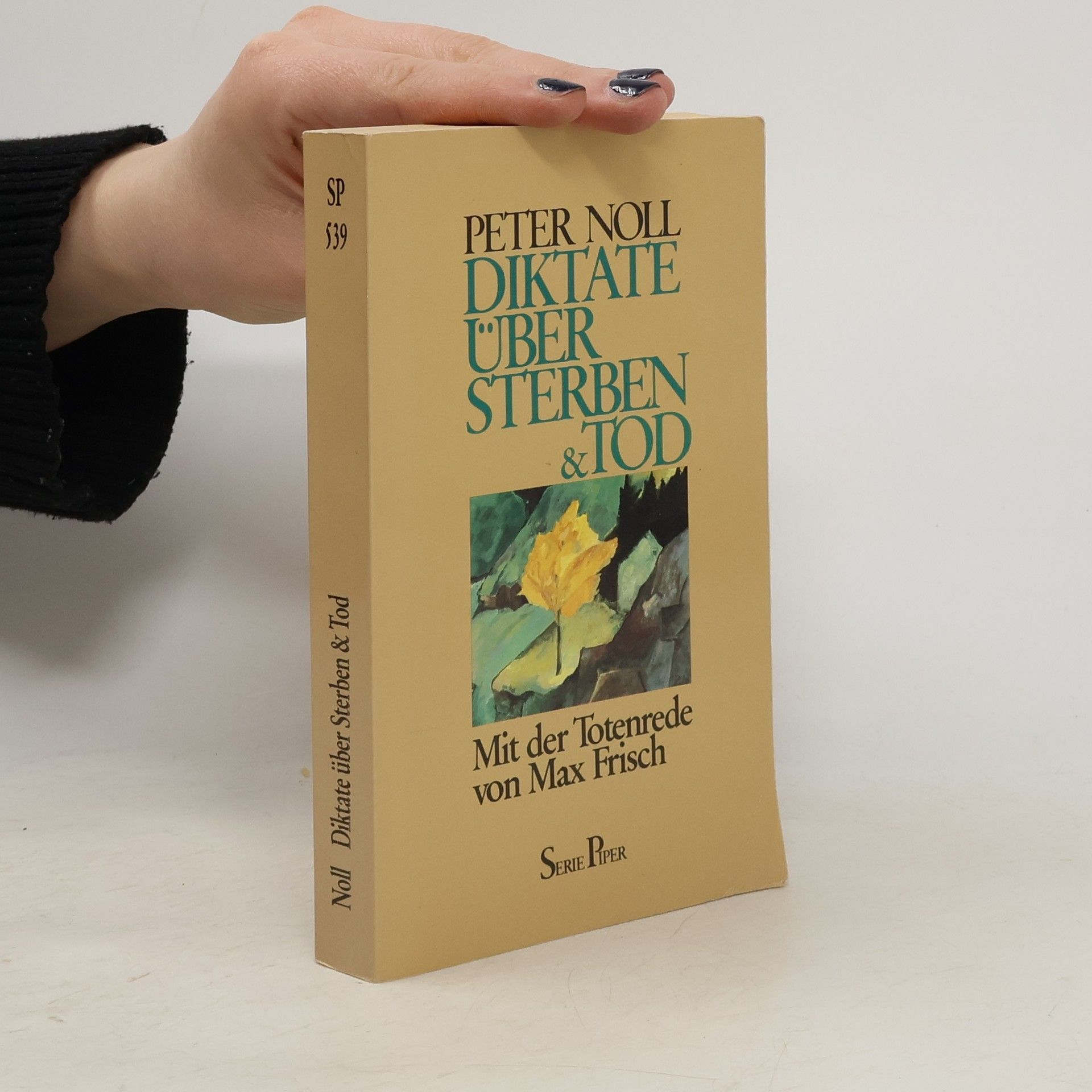 Peter Noll Diktate über Sterben & Tod