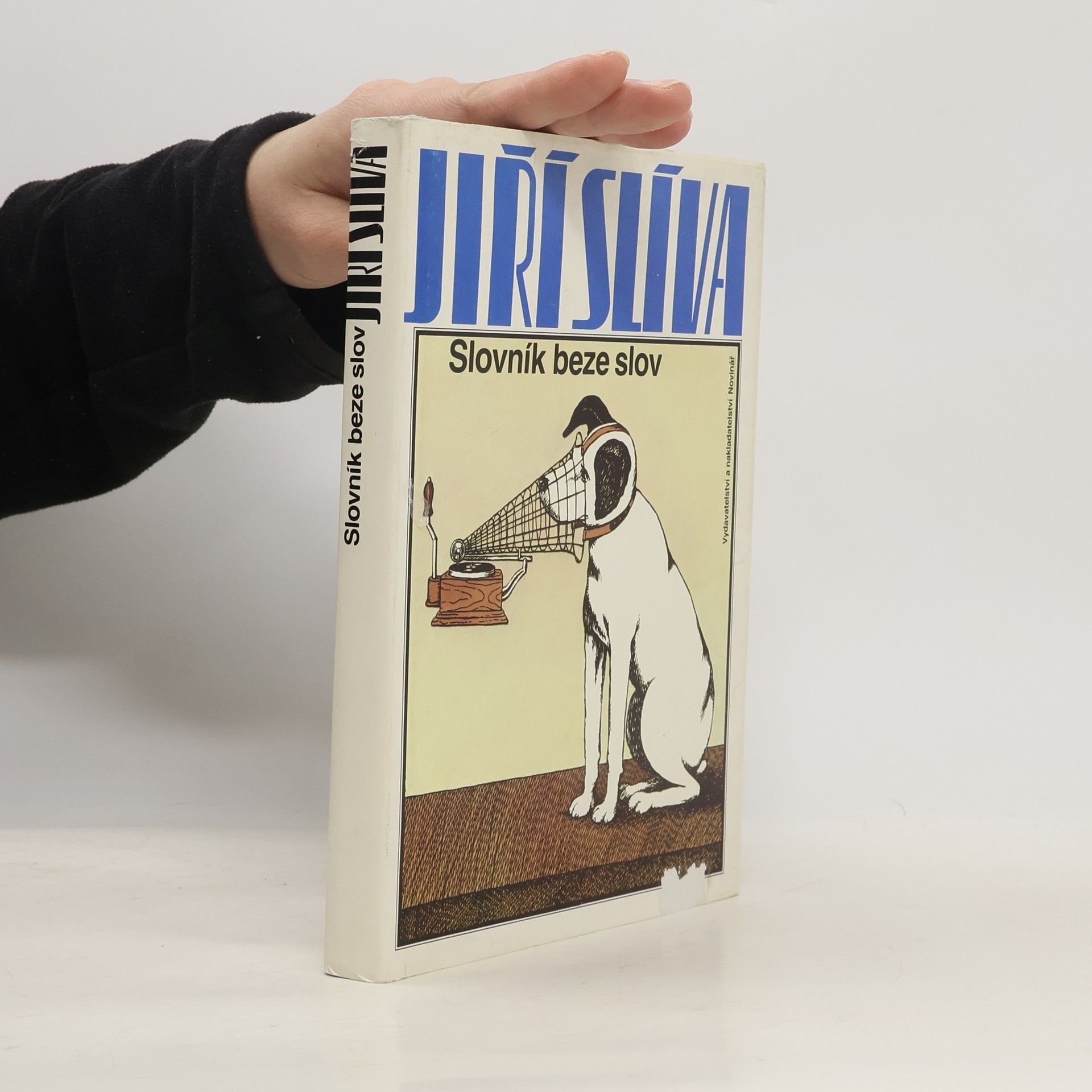 Jiří Slíva Slovník beze slov