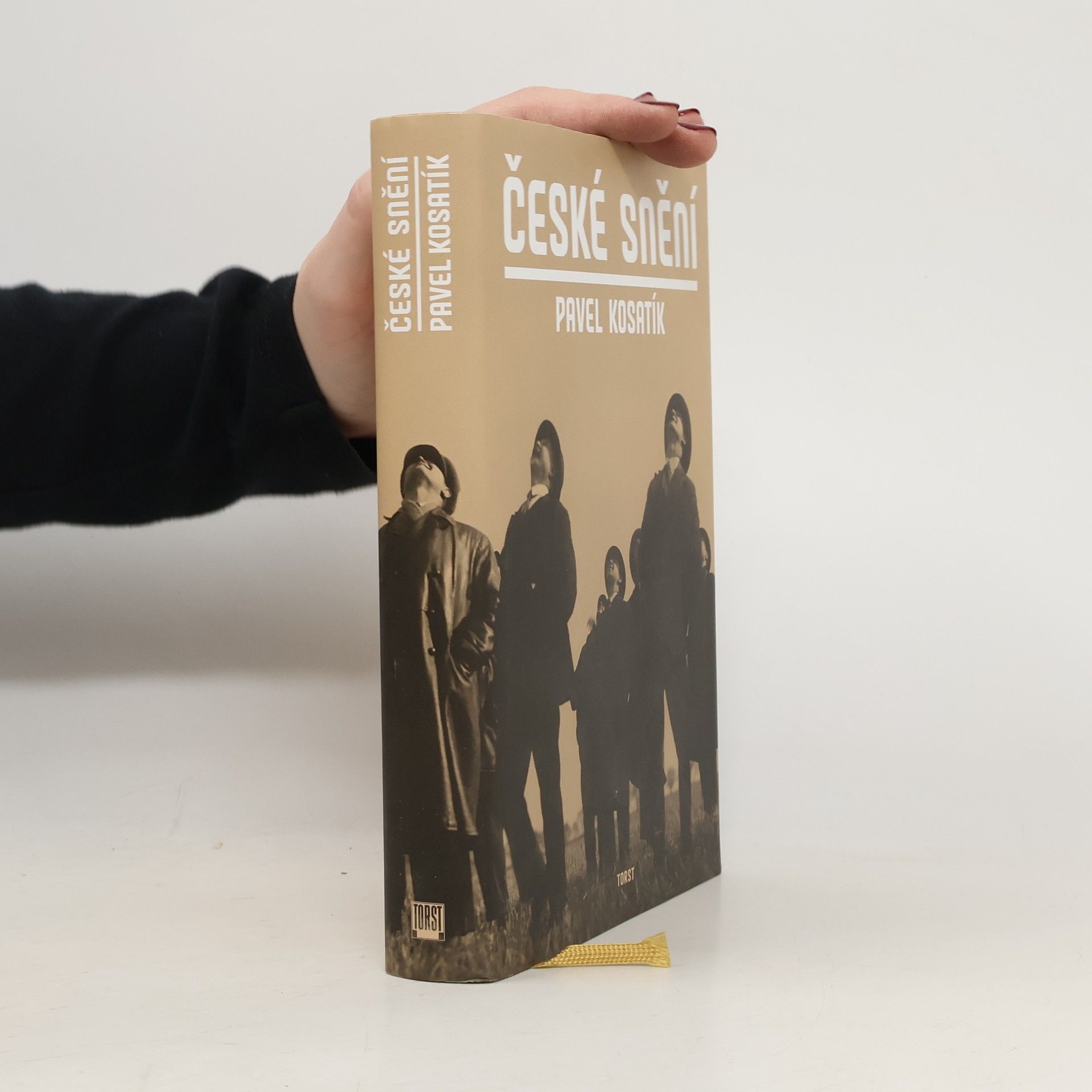 Pavel Kosatík České snění