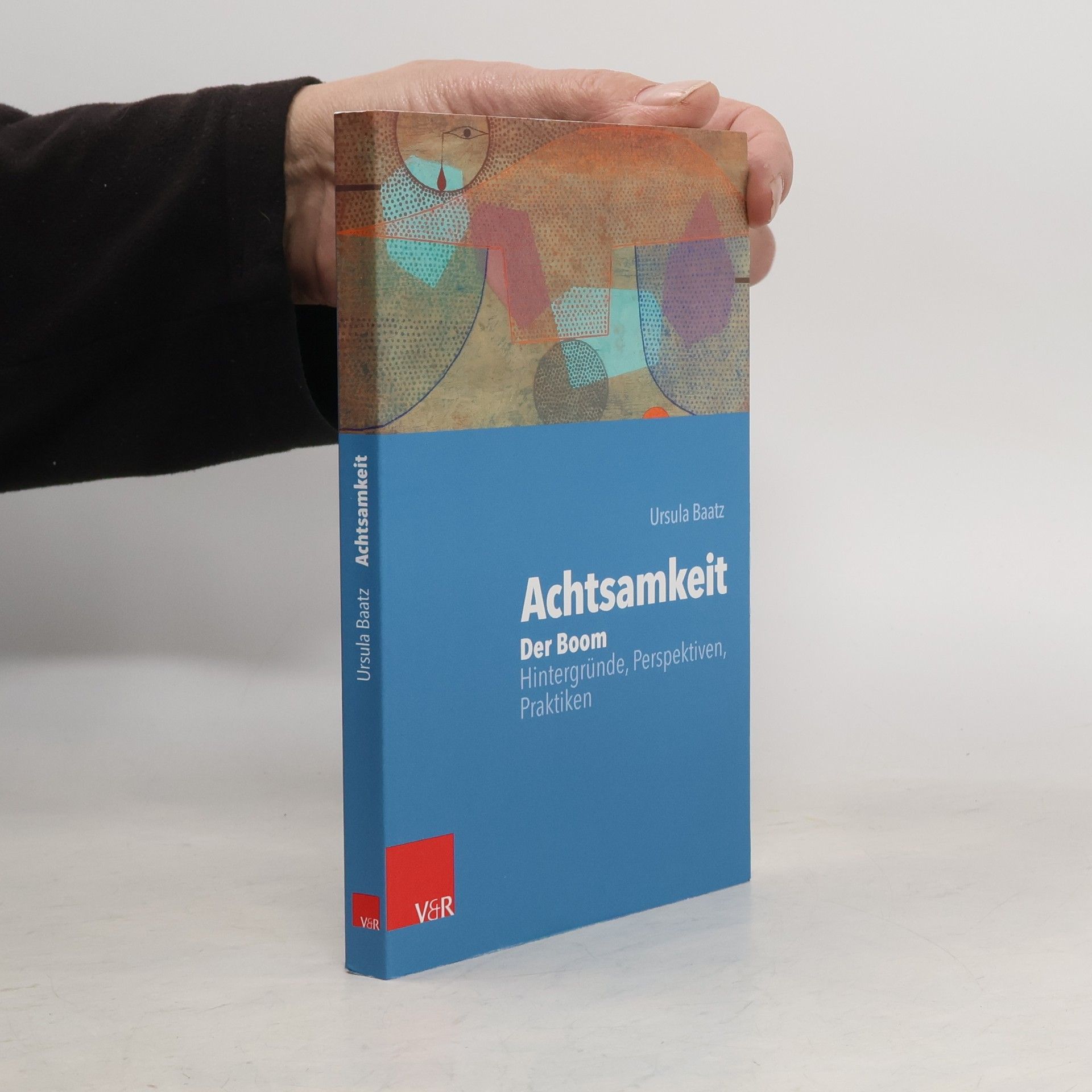 Ursula Baatz Achtsamkeit: Der Boom - Hintergründe, Perspektiven, Praktiken