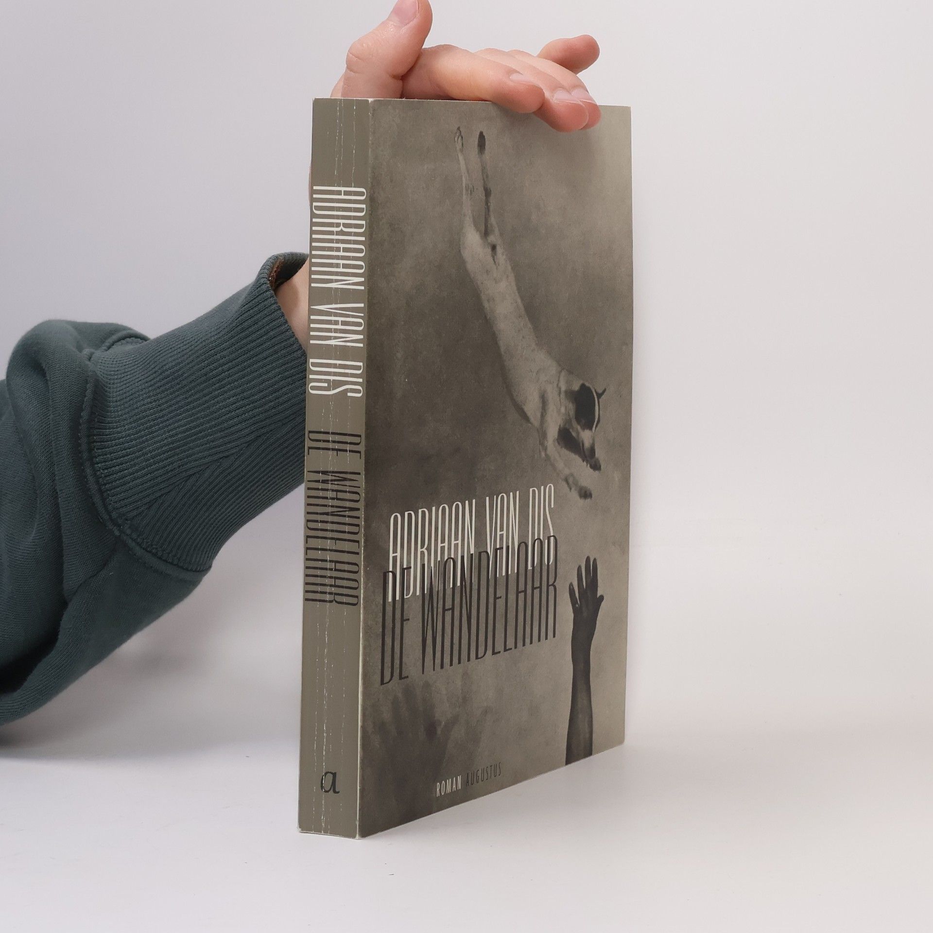 Adriaan van Dis De wandelaar