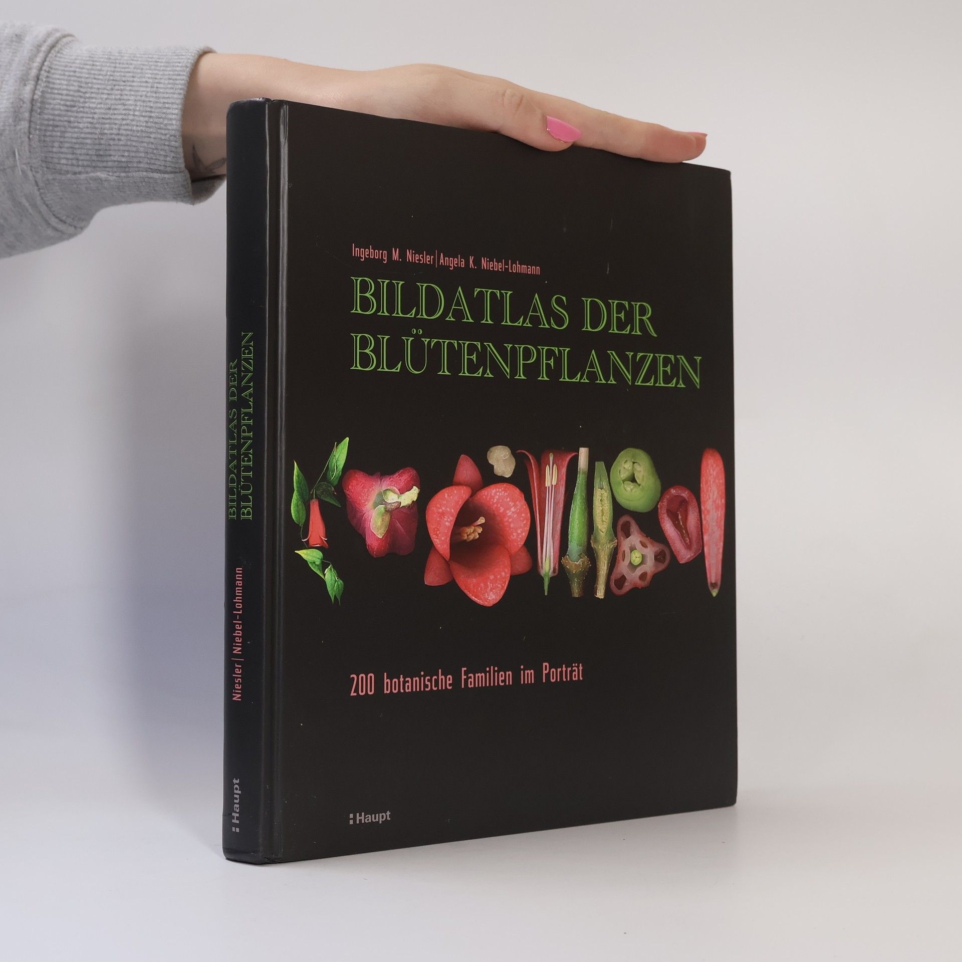 Ingeborg M. Niesler Bildatlas der Blütenpflanzen