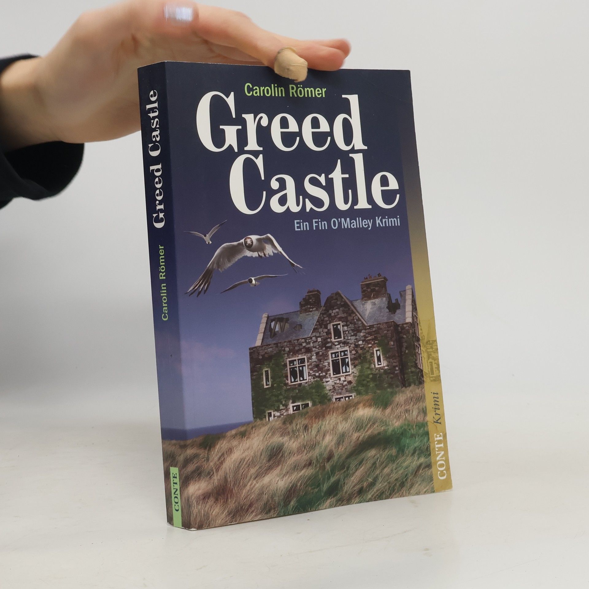 Carolin Römer Fin O'Malley: Greed Castle