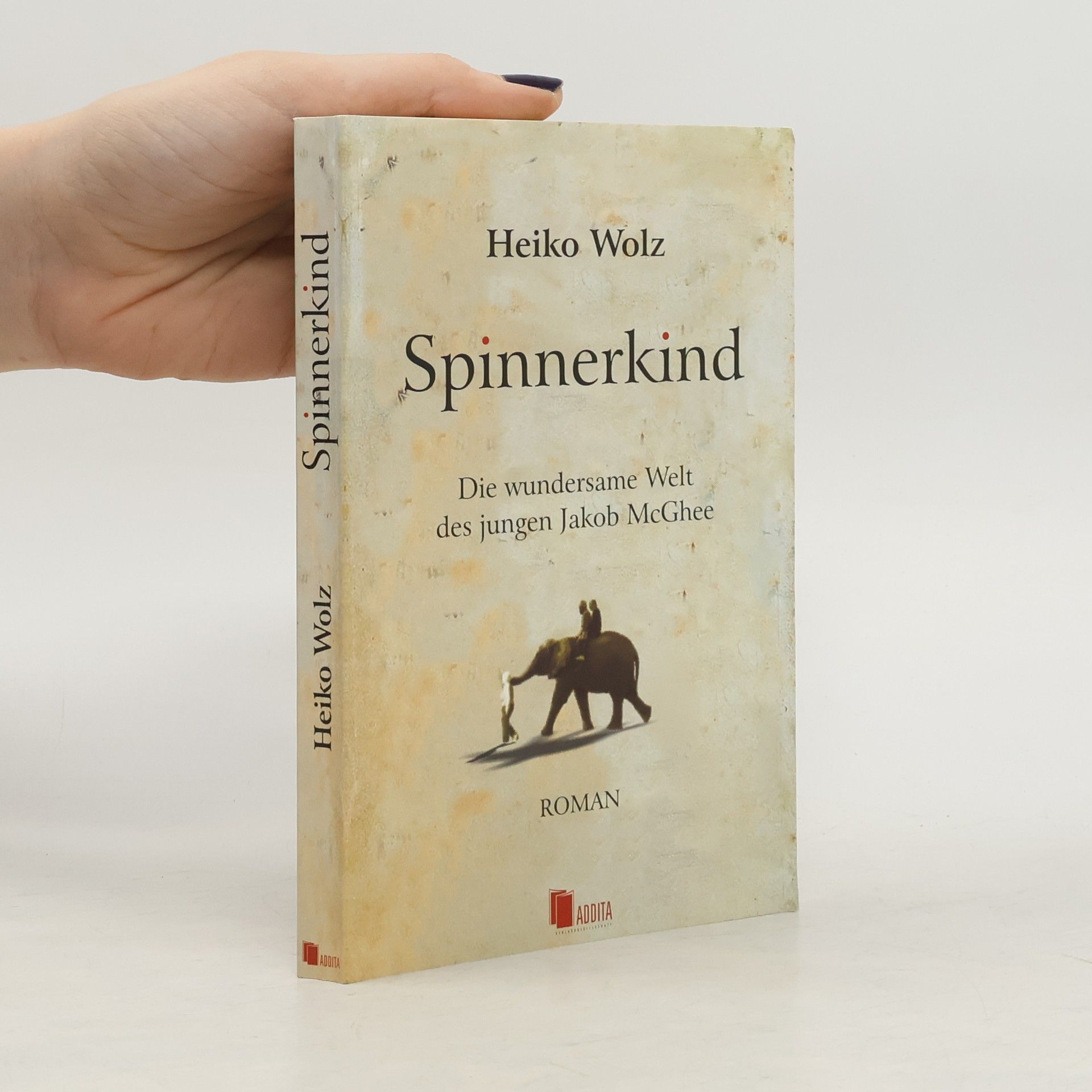 Heiko Wolz Spinnerkind. Die wundersame Welt des jungen Jakob McGhee - Roman