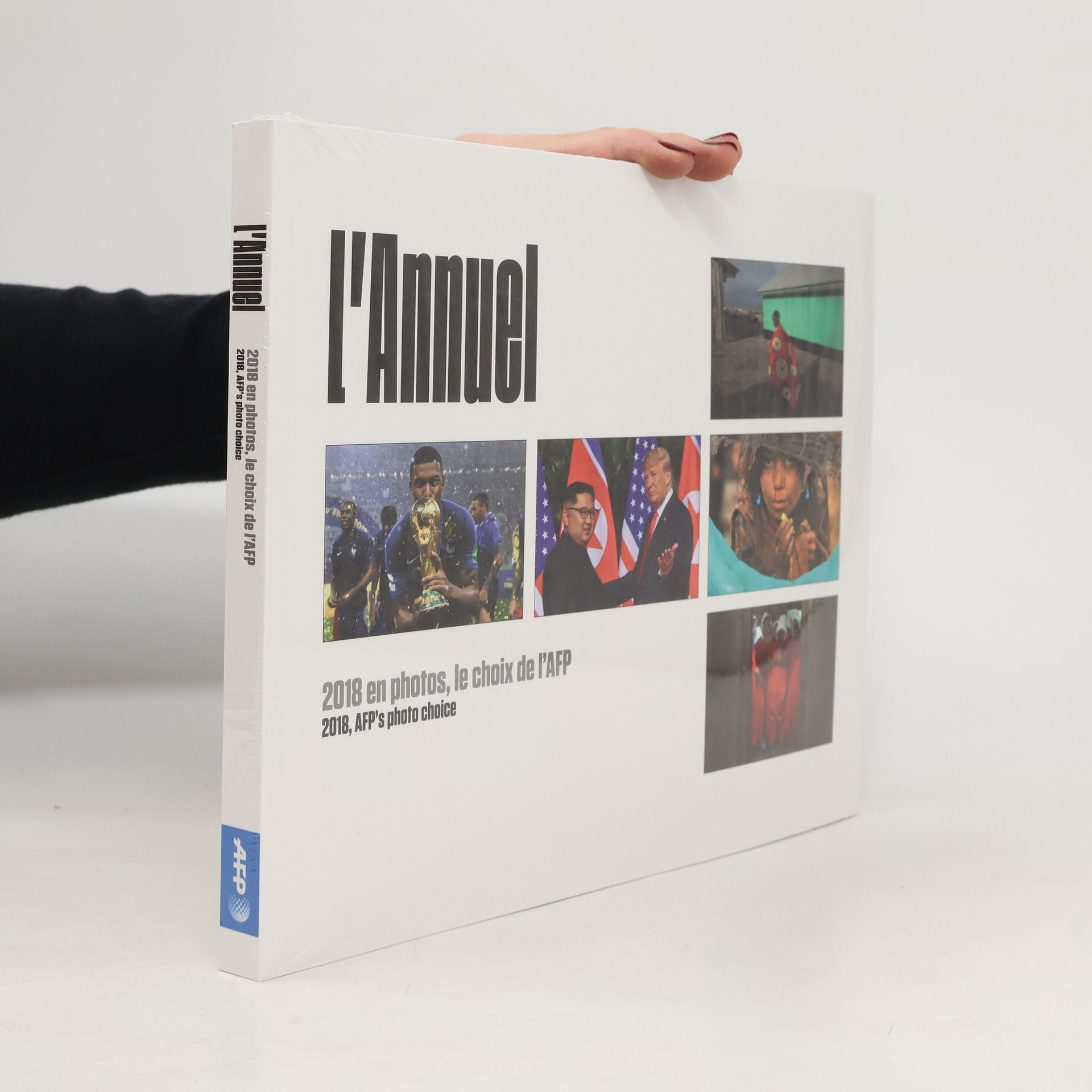 Kolektiv autorů L'annuel