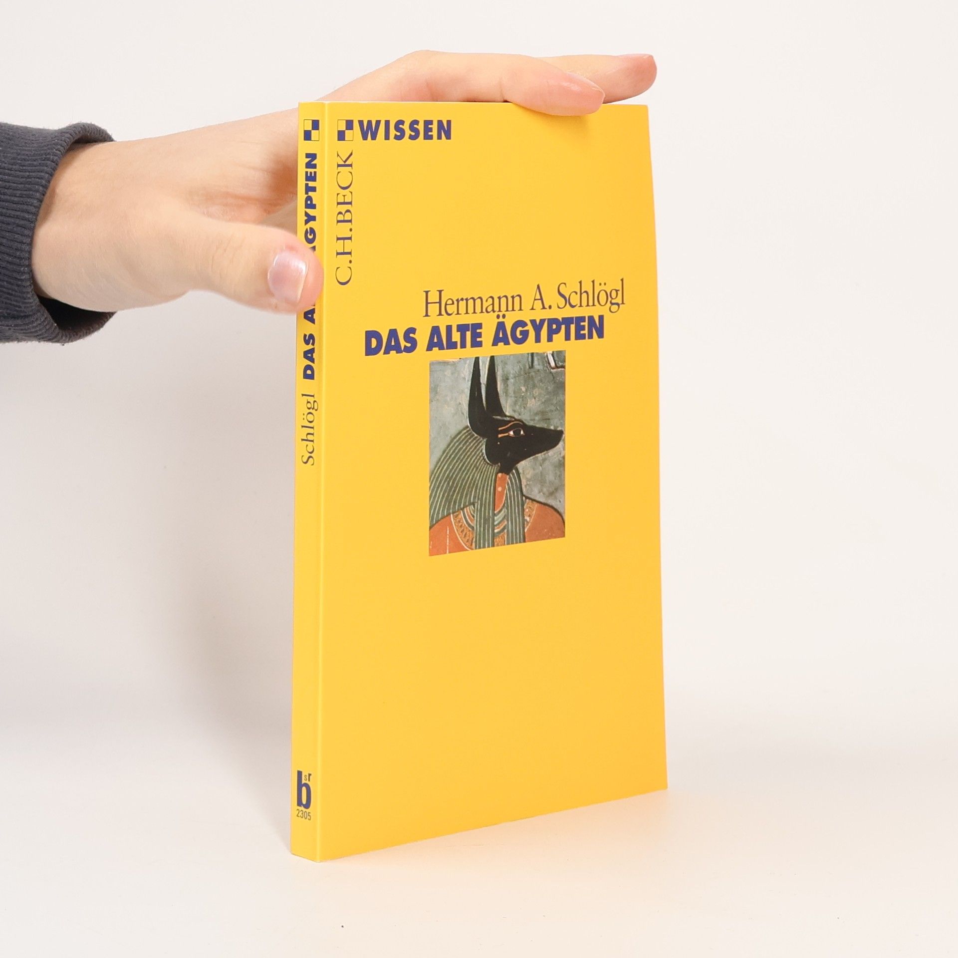 Hermann A. Schlögl Das alte Ägypten