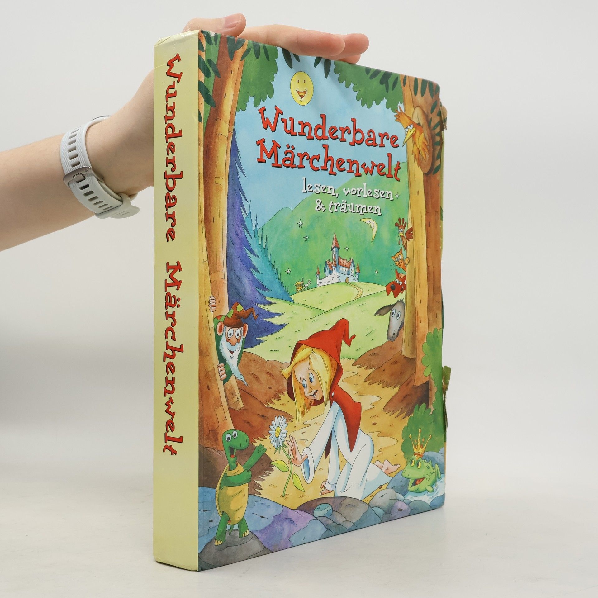 Kolektív autorov Wunderbare Märchenwelt