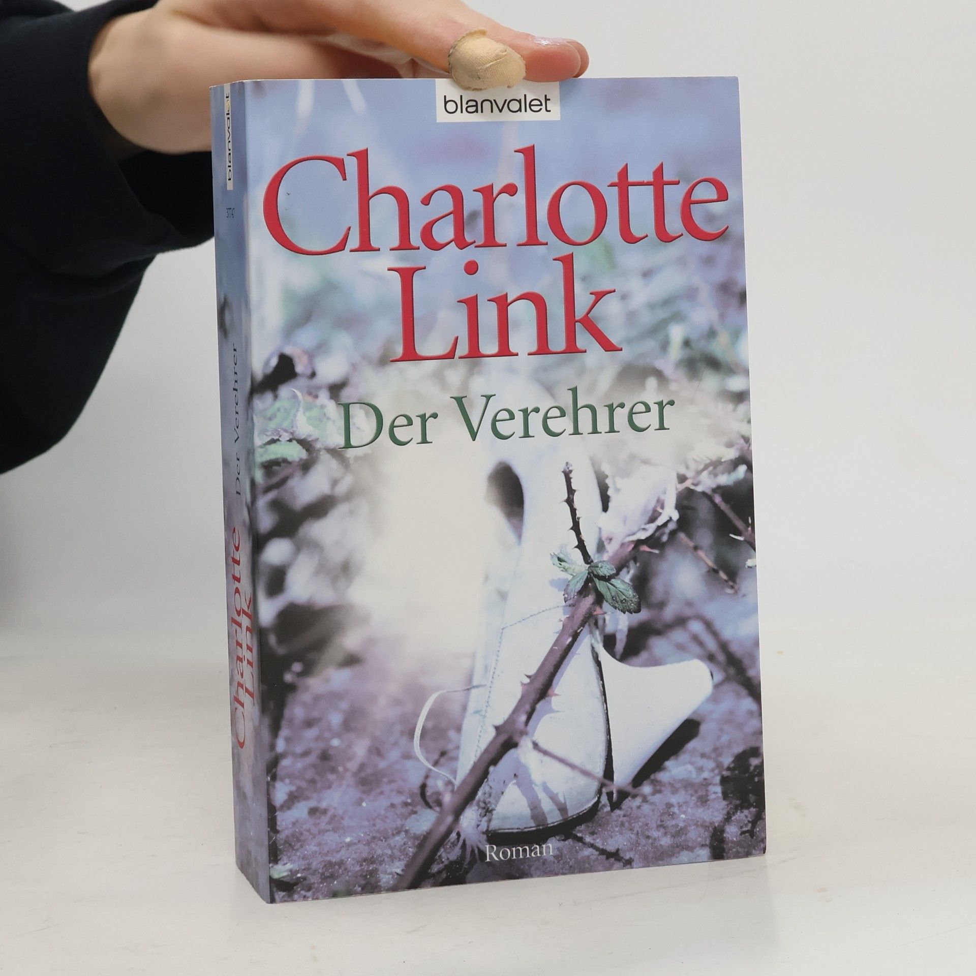 Charlotte Link Der Verehrer