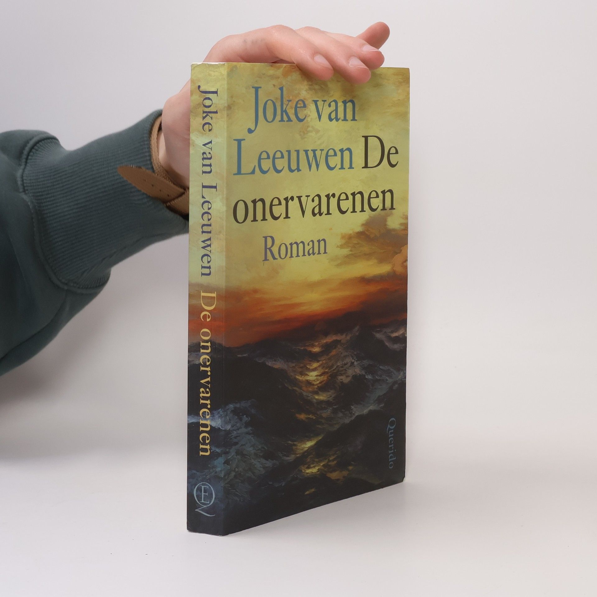 Joke van Leeuwen De onervarenen