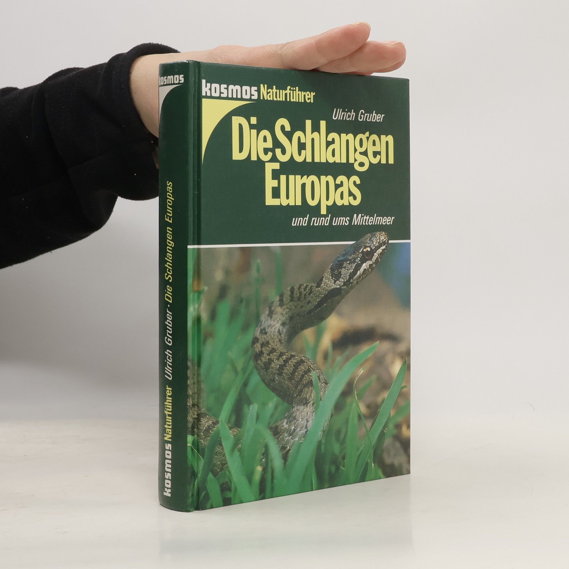 Ulrich Gruber Die Schlangen Europas und rund ums Mittelmeer