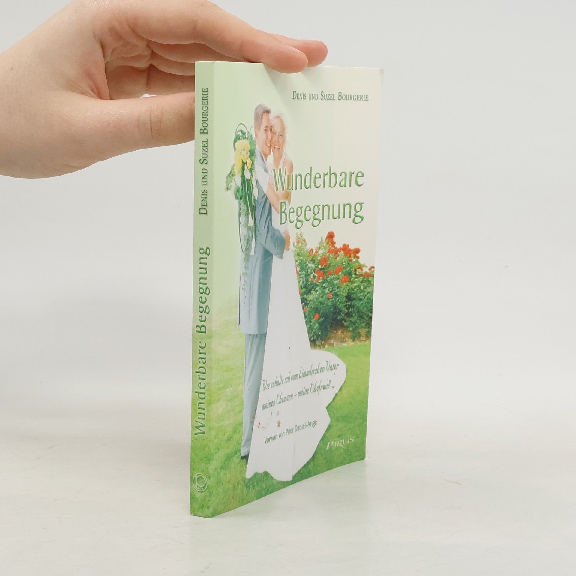 Denis Bourgerie Wunderbare Begegnung