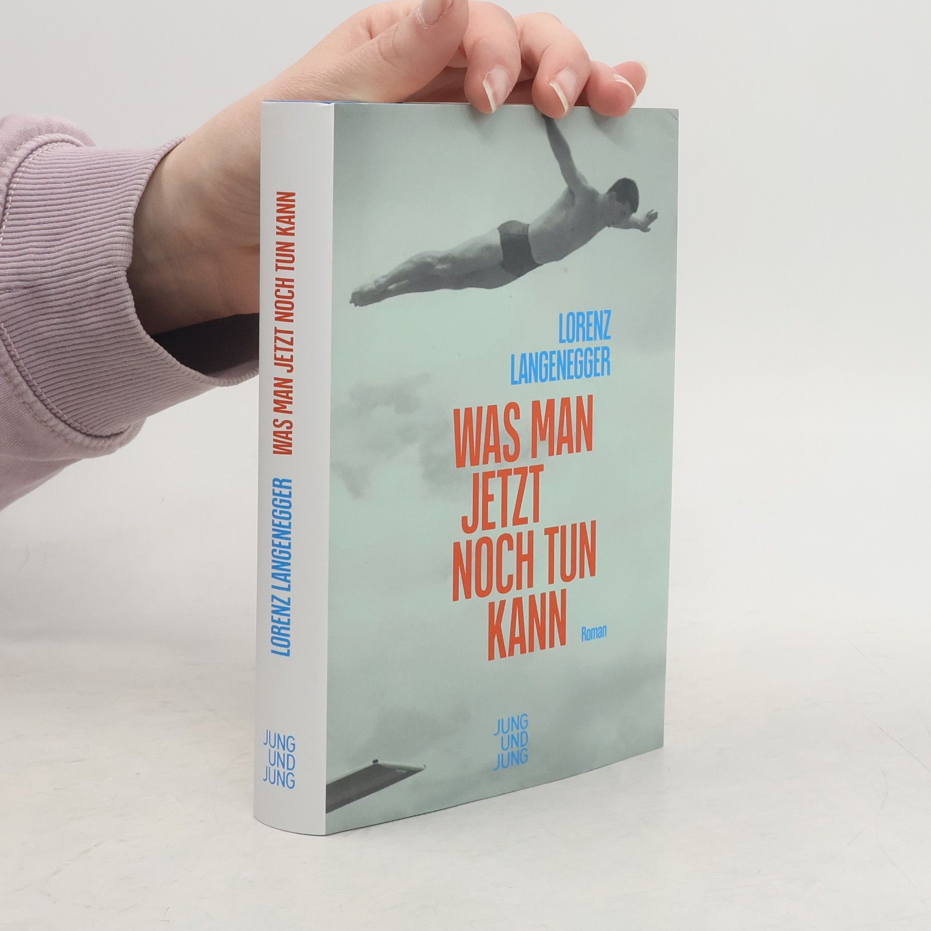 Lorenz Langenegger Was man jetzt noch tun kann