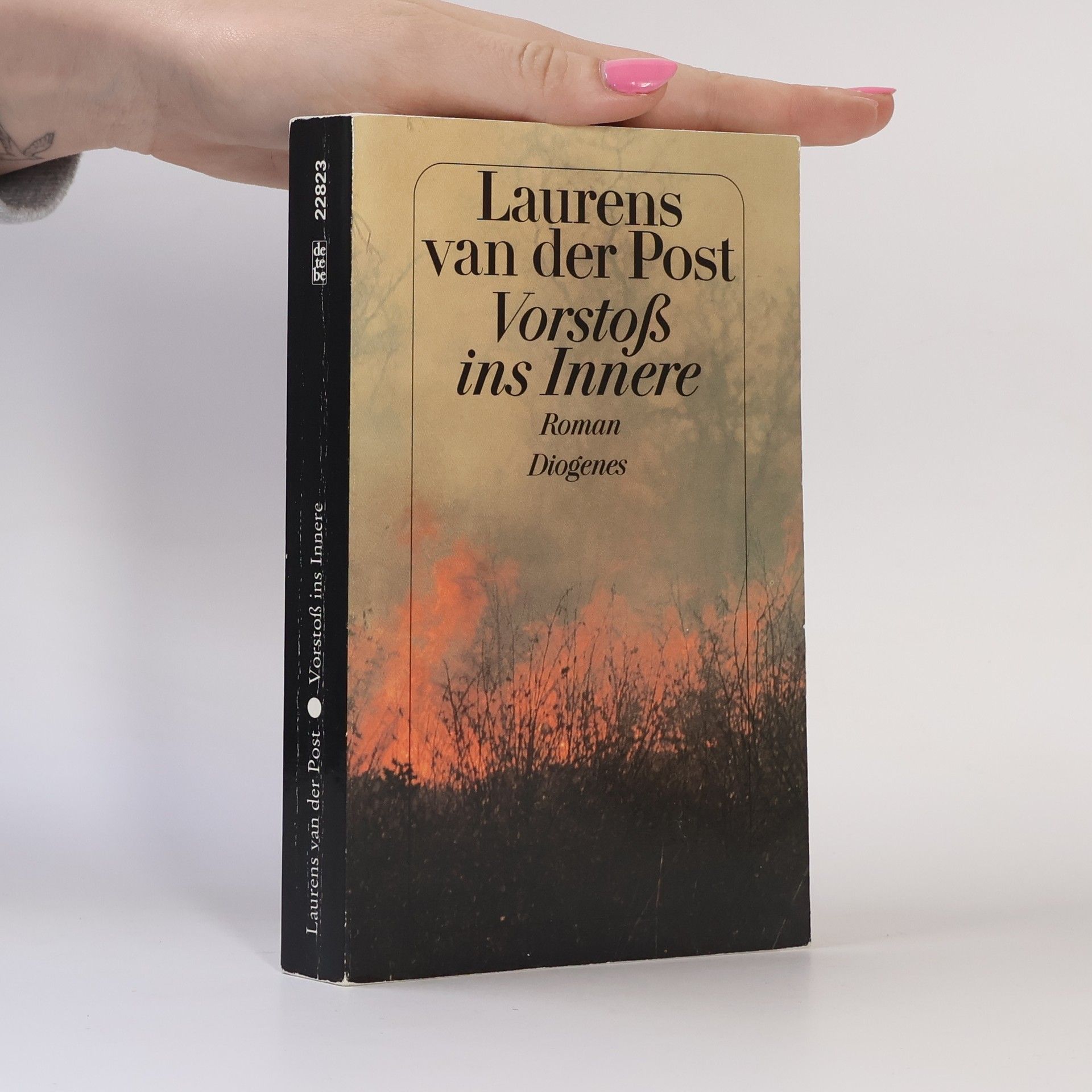 Laurens van der Post Vorstoss ins Innere