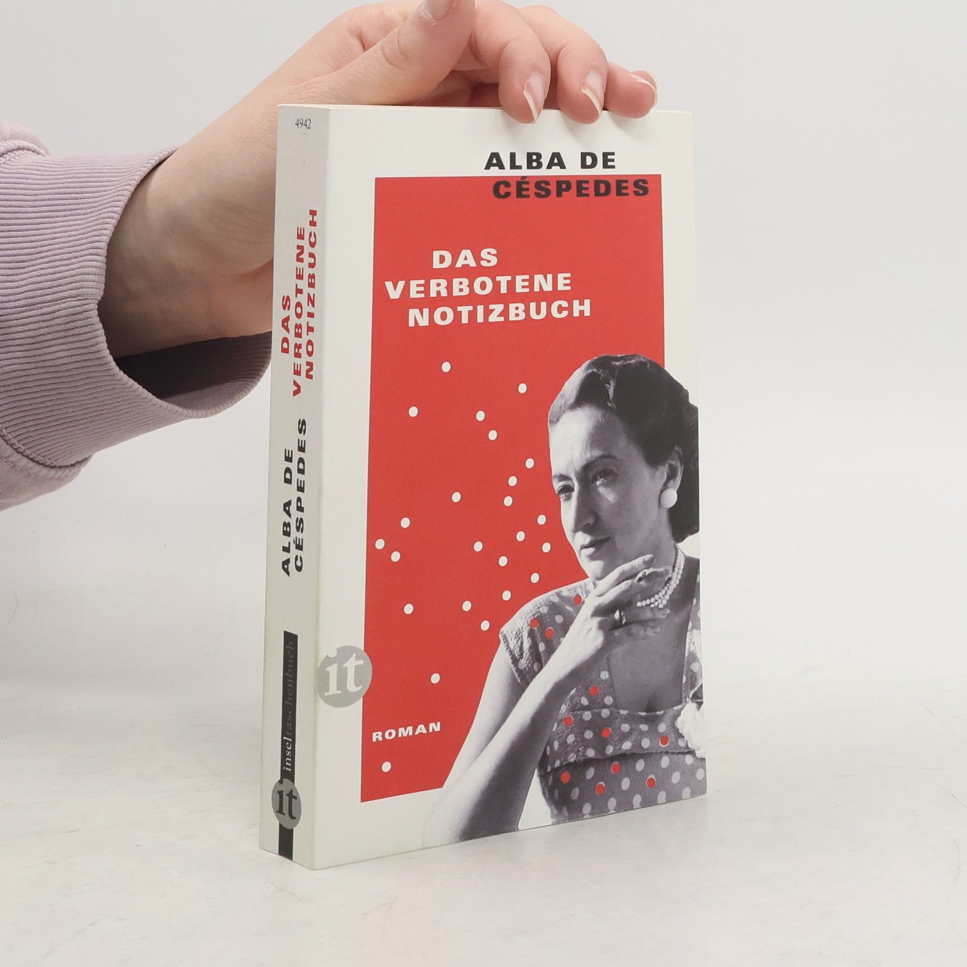 Alba de Céspedes Das verbotene Notizbuch