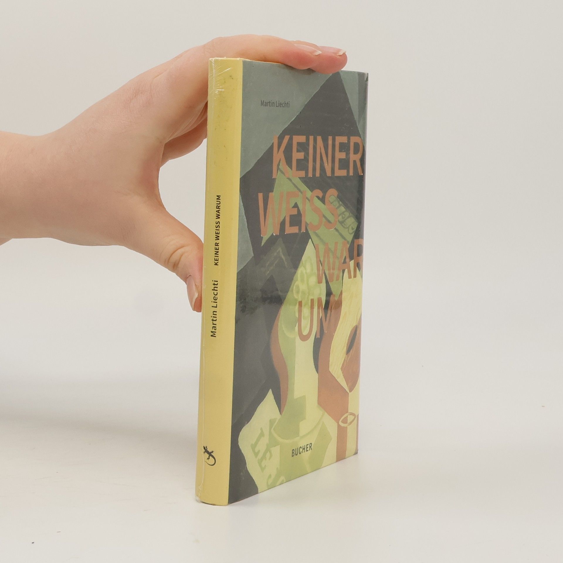 Martin Liechti Keiner weiss warum