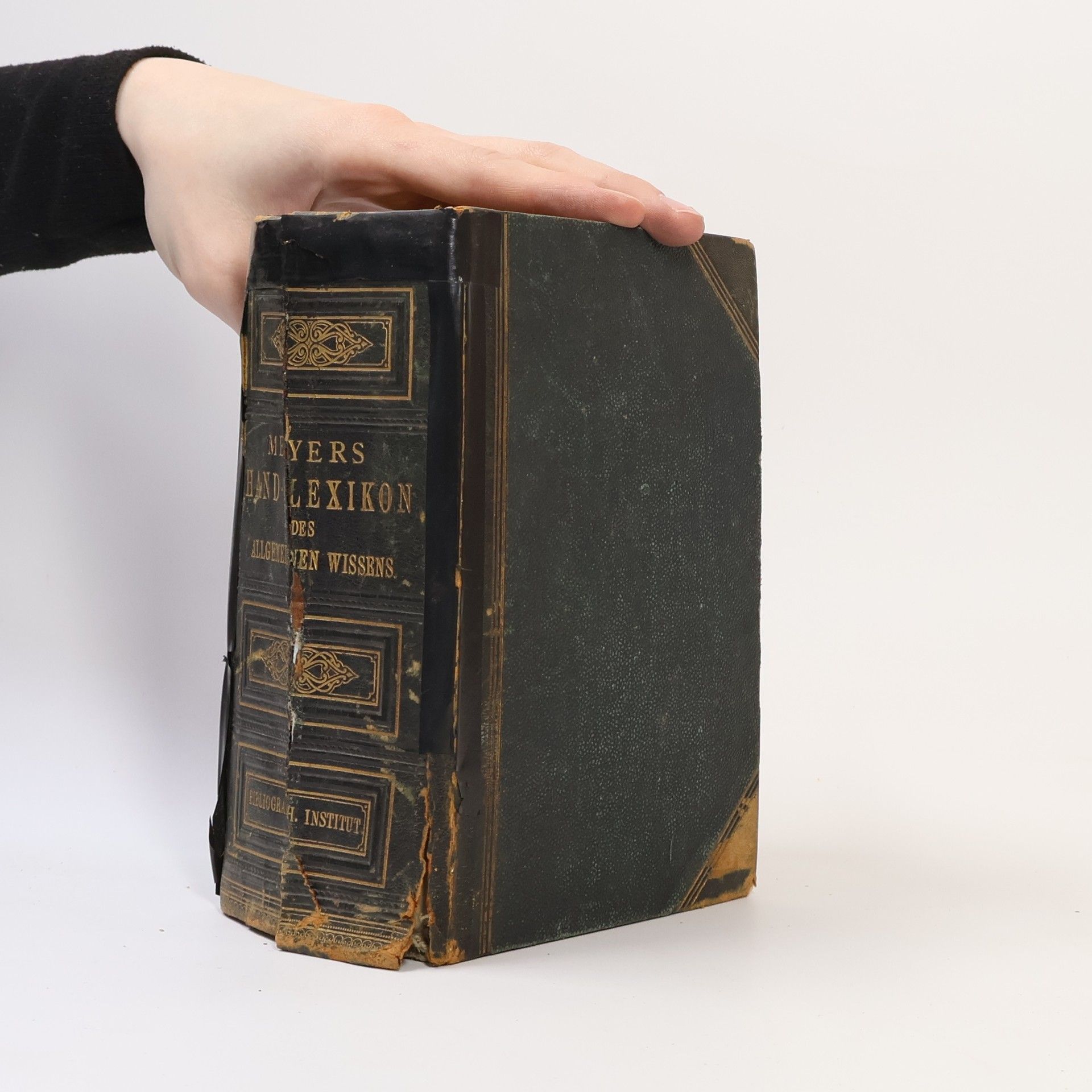 Autorenkollektiv Meyers Hand-Lexikon Des Allgemeinen Wissens in Einem Band