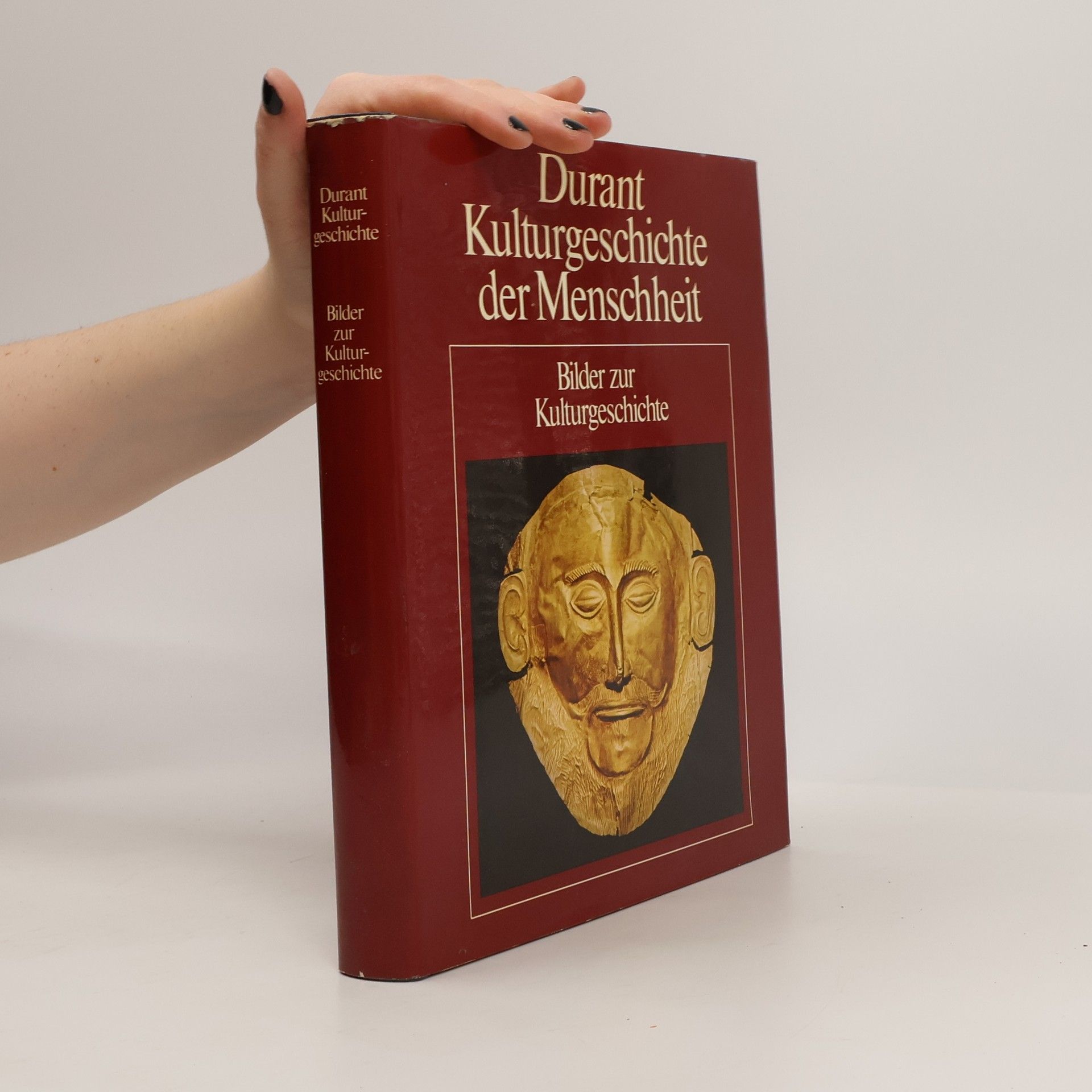 Hans Dollinger Bilder zur Kulturgeschichte