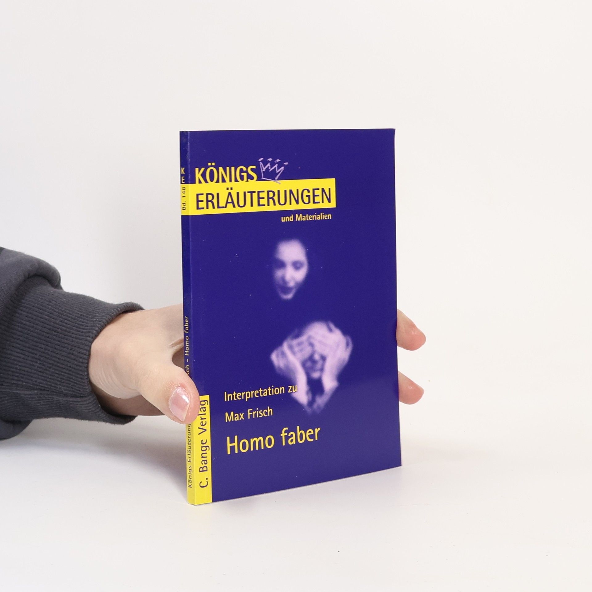 Bernd Matzkowski Erläuterungen zu Max Frisch, Homo faber