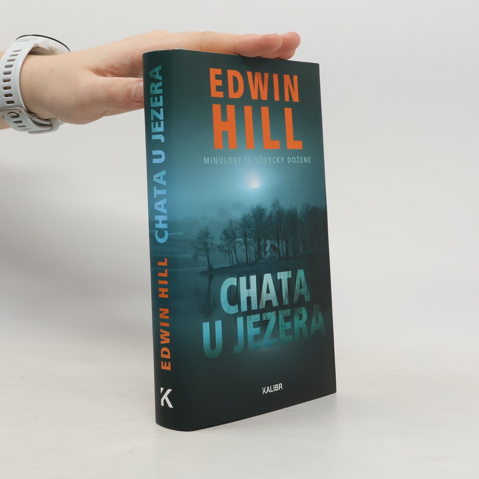 Edwin Hill Chata u jezera