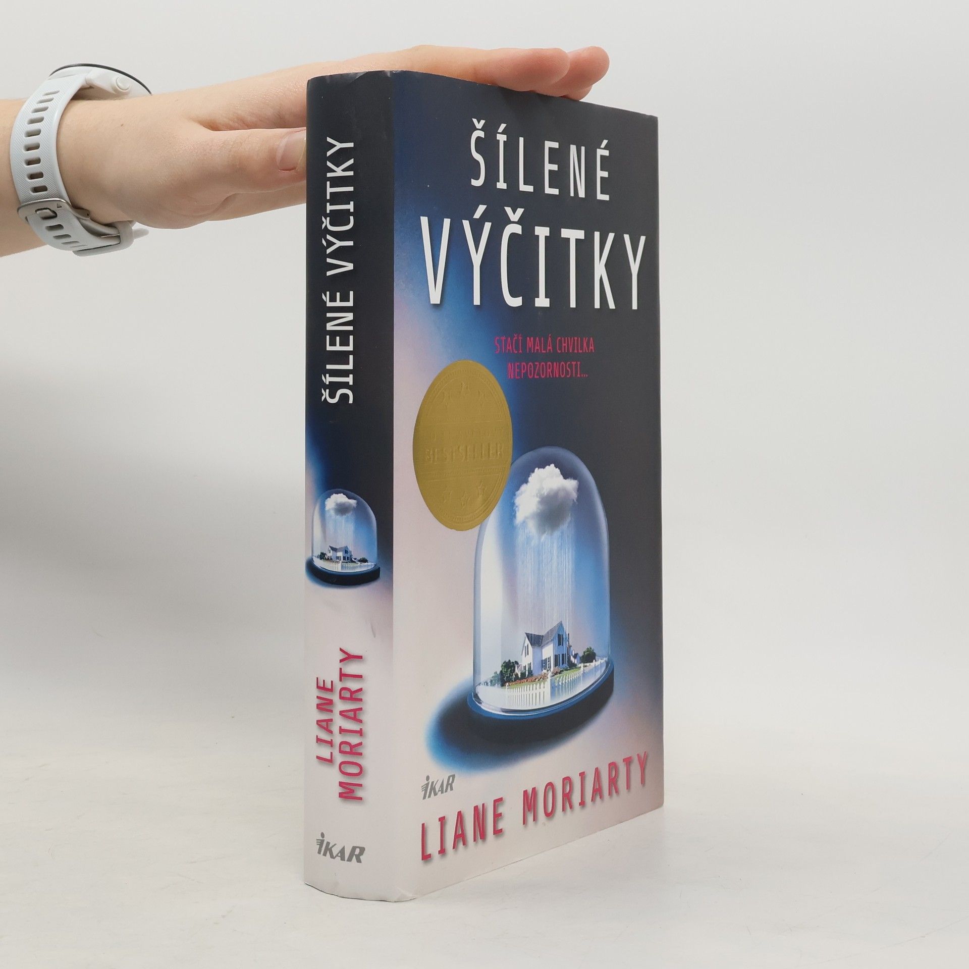 Liane Moriarty Šílené výčitky