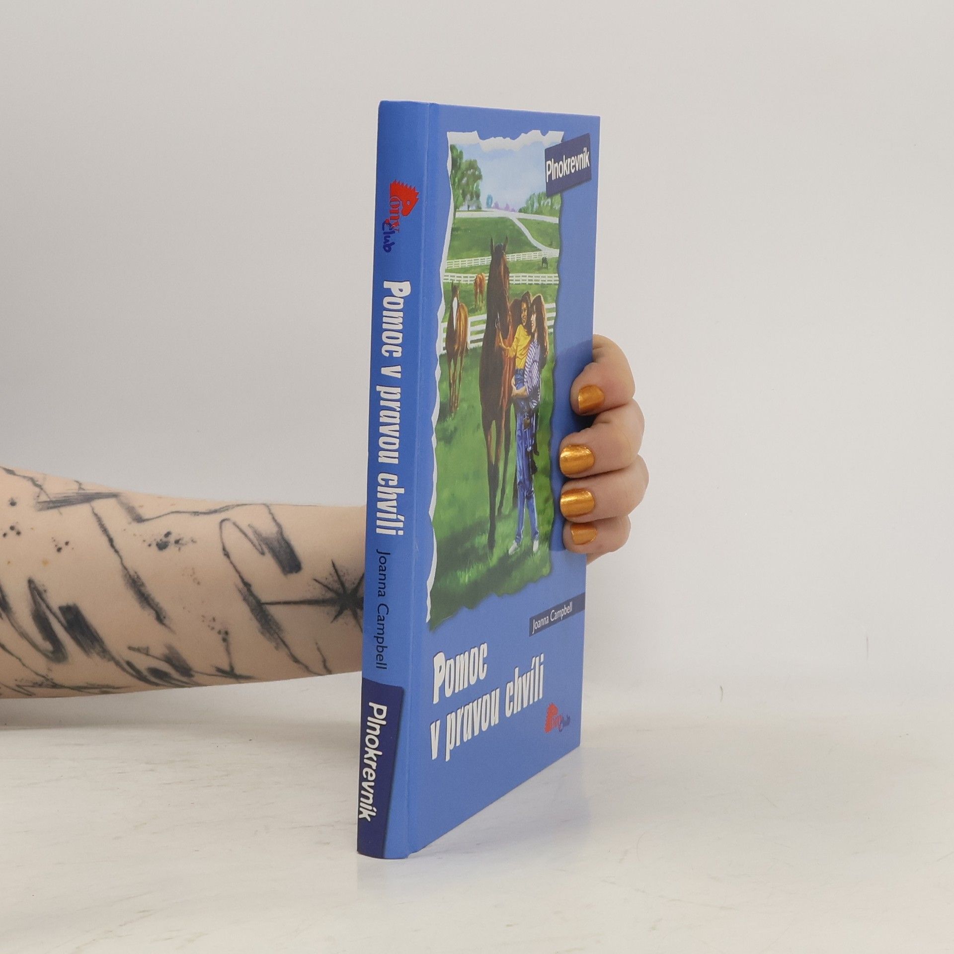 Joanna Campbell Pomoc v pravou chvíli