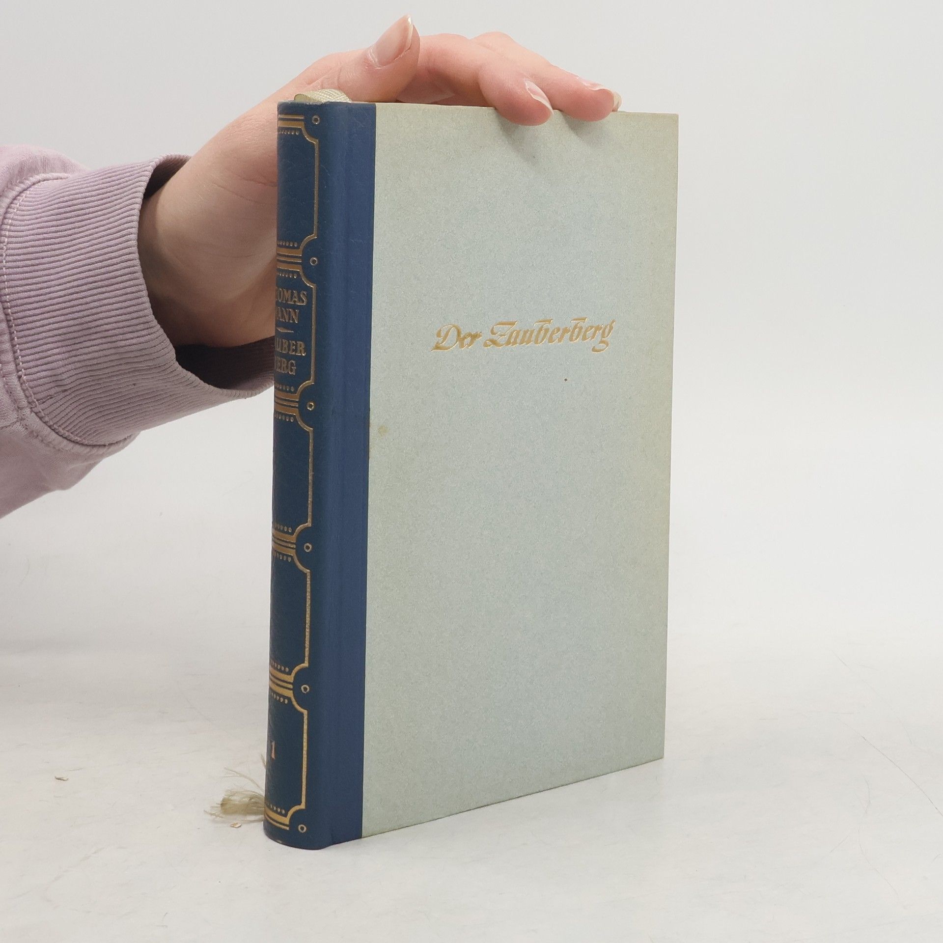 Thomas Mann Der Zauberberg 1