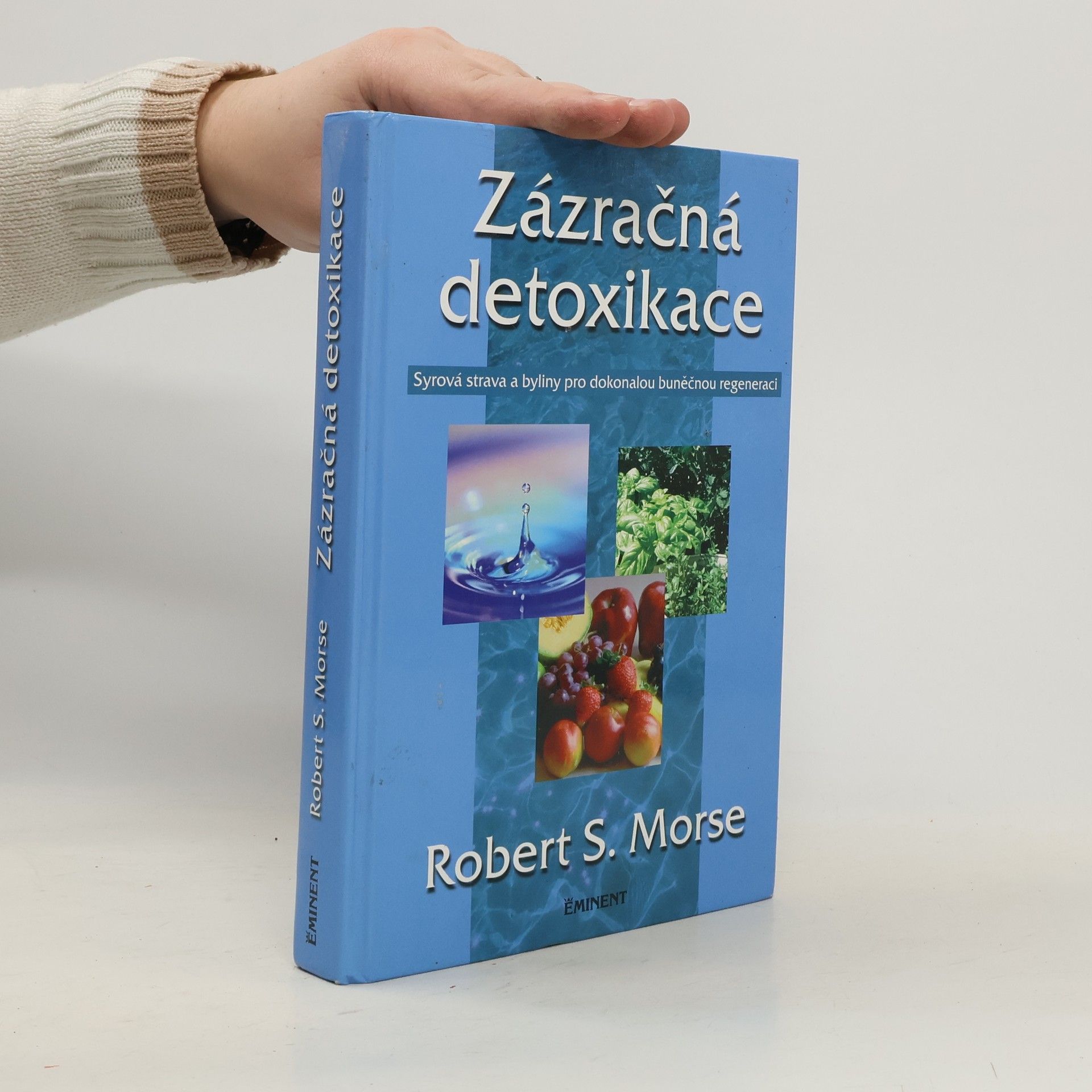 Robert Morse Zázračná detoxikace