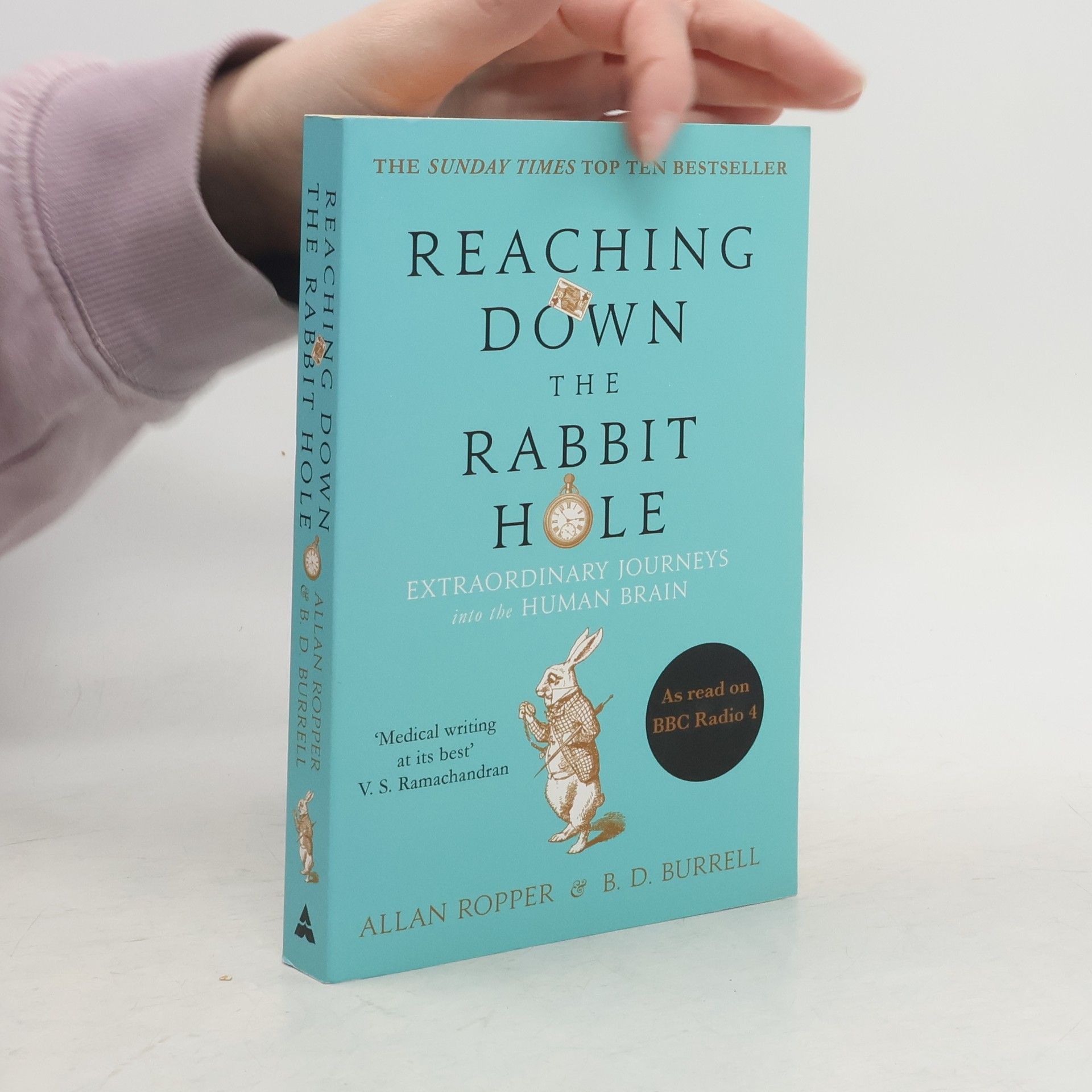 Reaching down the rabbit hole