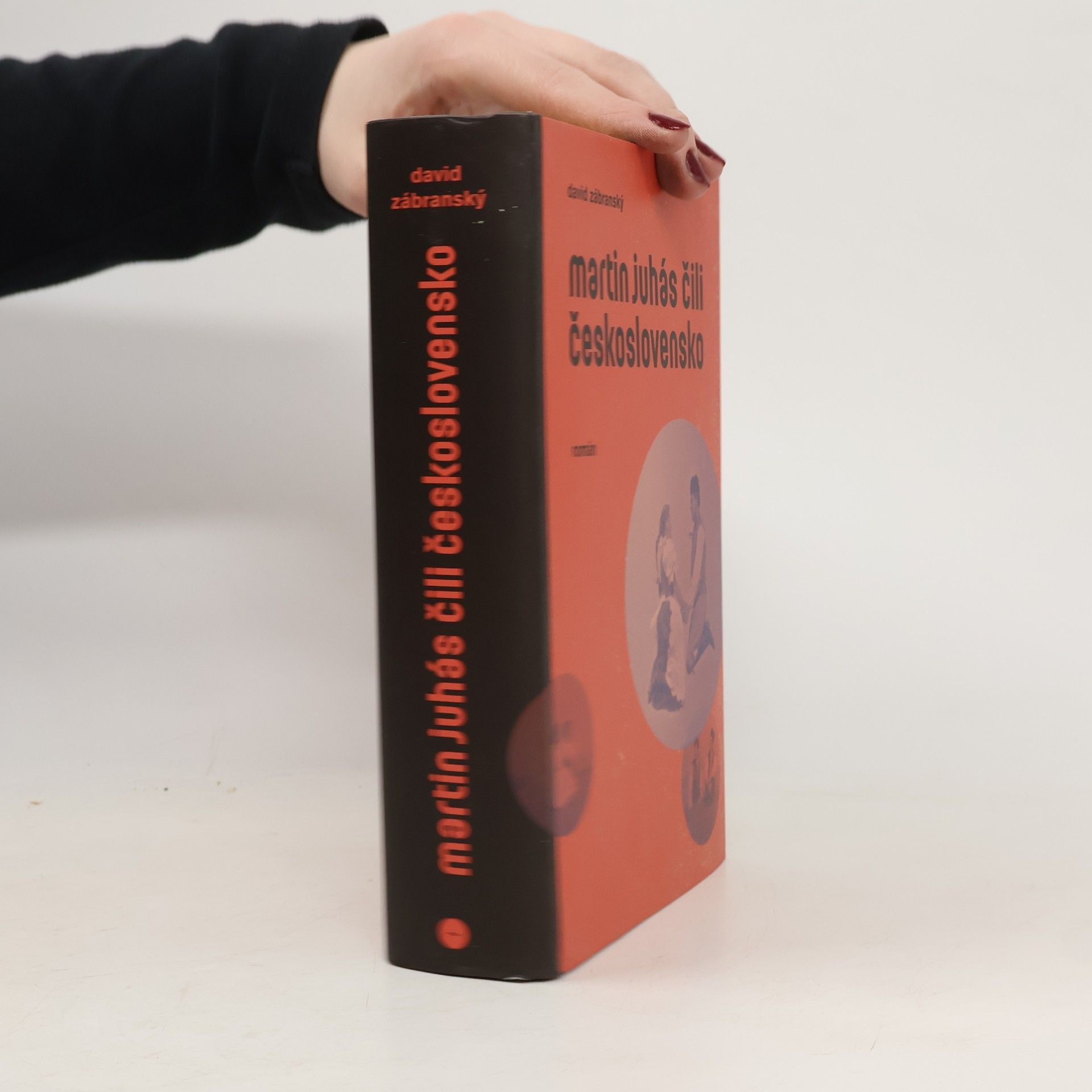 David Zábranský Martin Juhás, čili, Československo : román