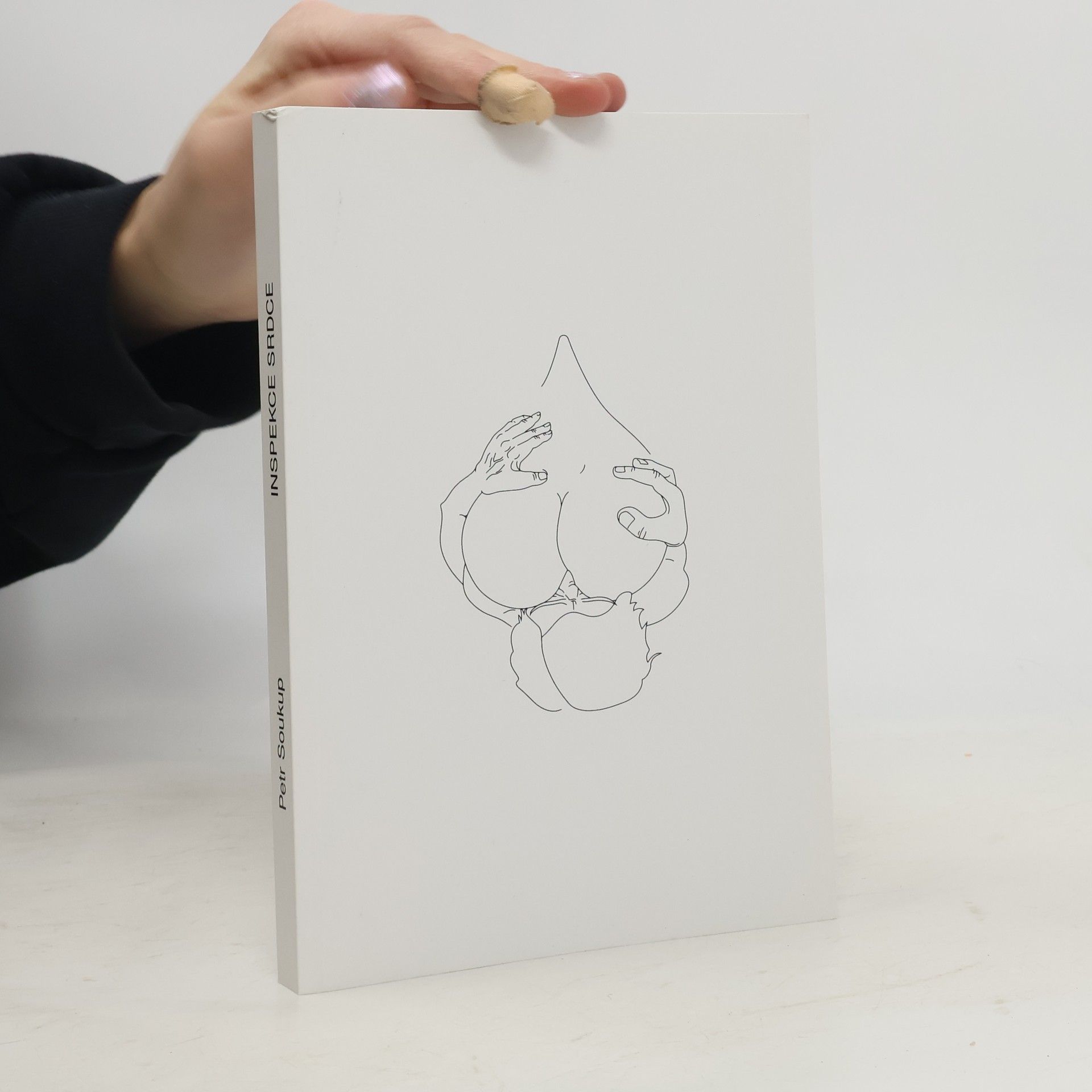 Petr Soukup Inspekce srdce