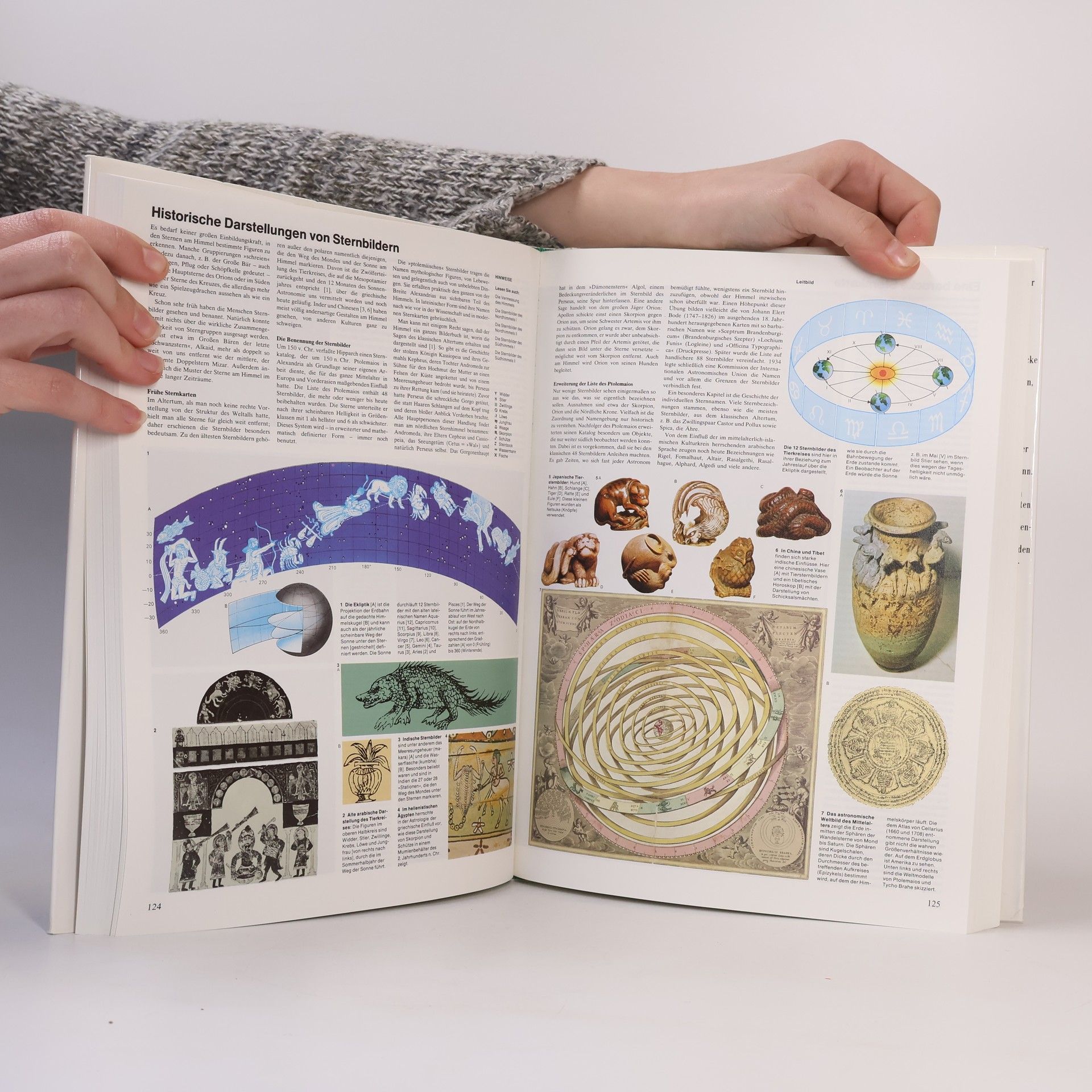 Autorenkollektiv Wissen im Überblick: Naturwissenschaften