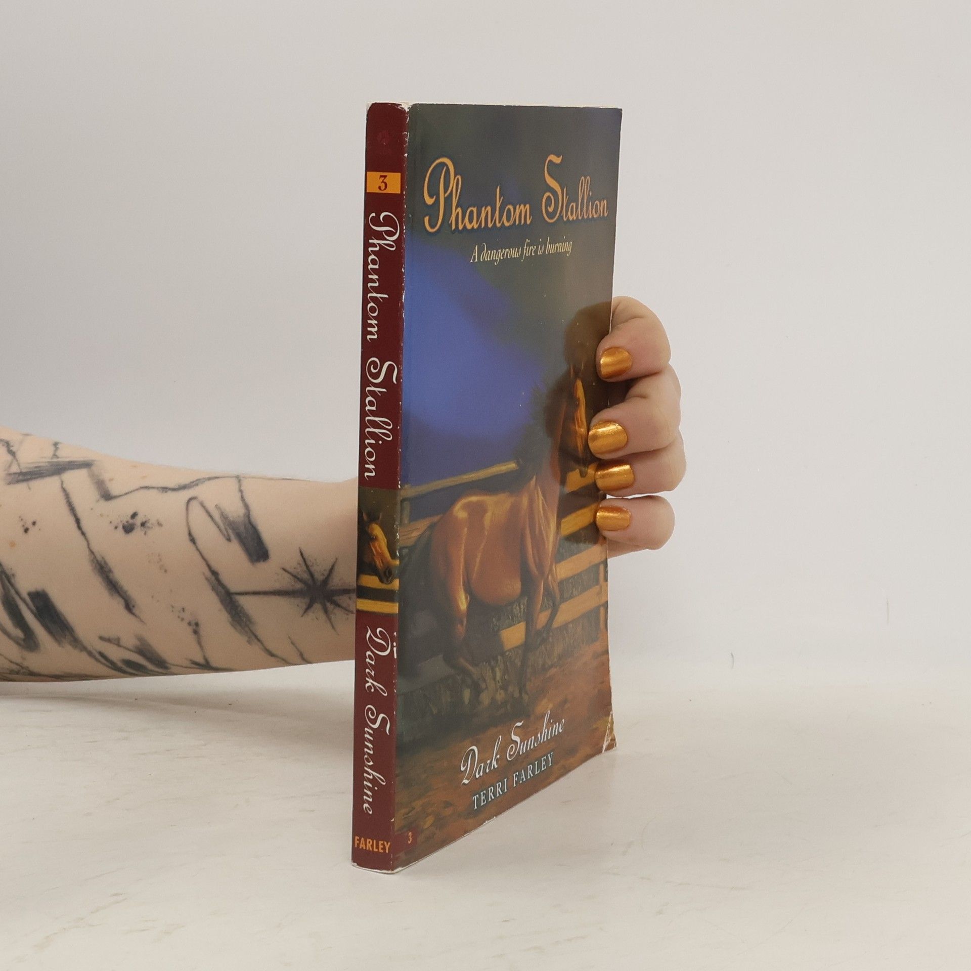 Terri Farley Phantom Stallion - 3: Dark Sunshine