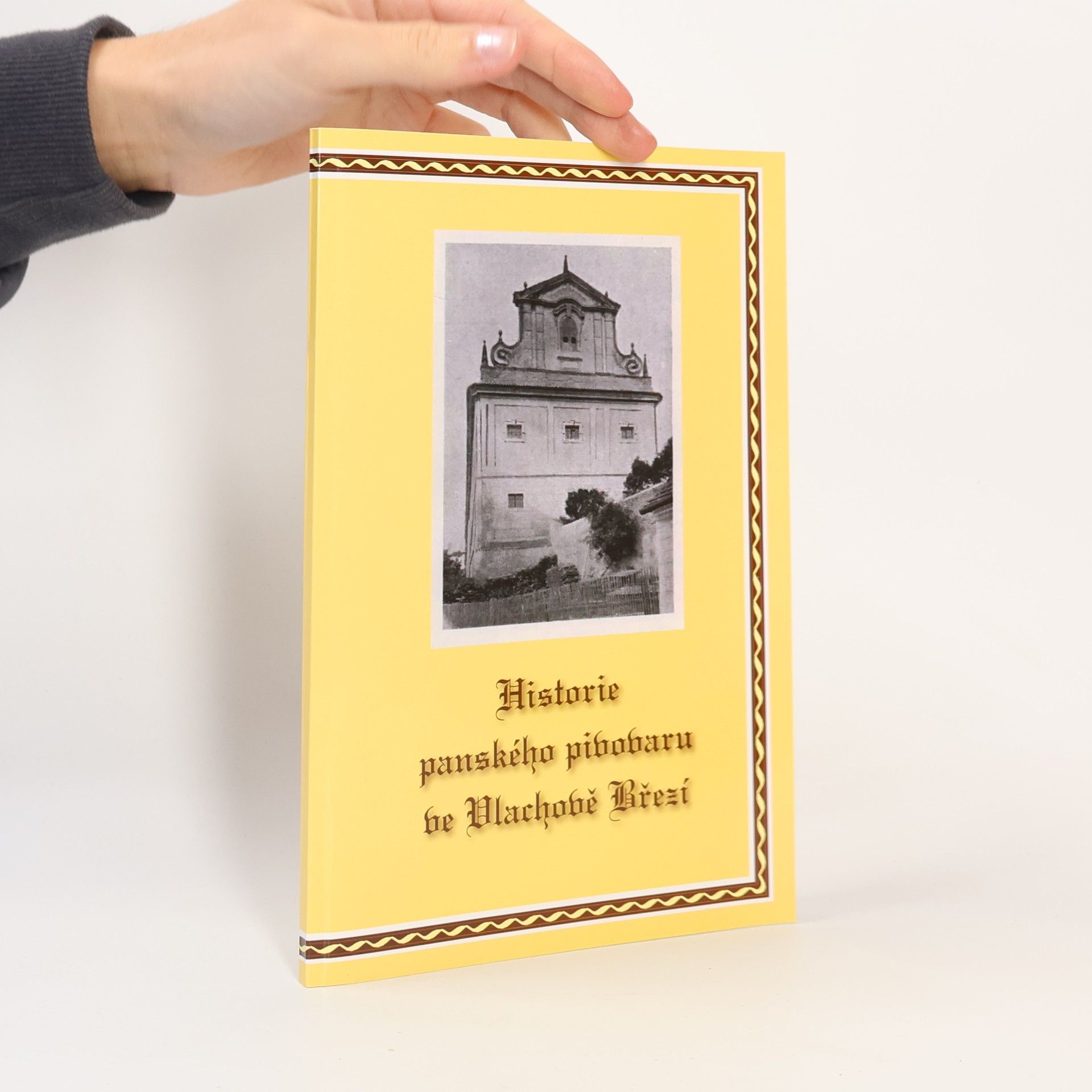 Kolektiv autorů Historie panského pivovaru ve Vlachově Březí