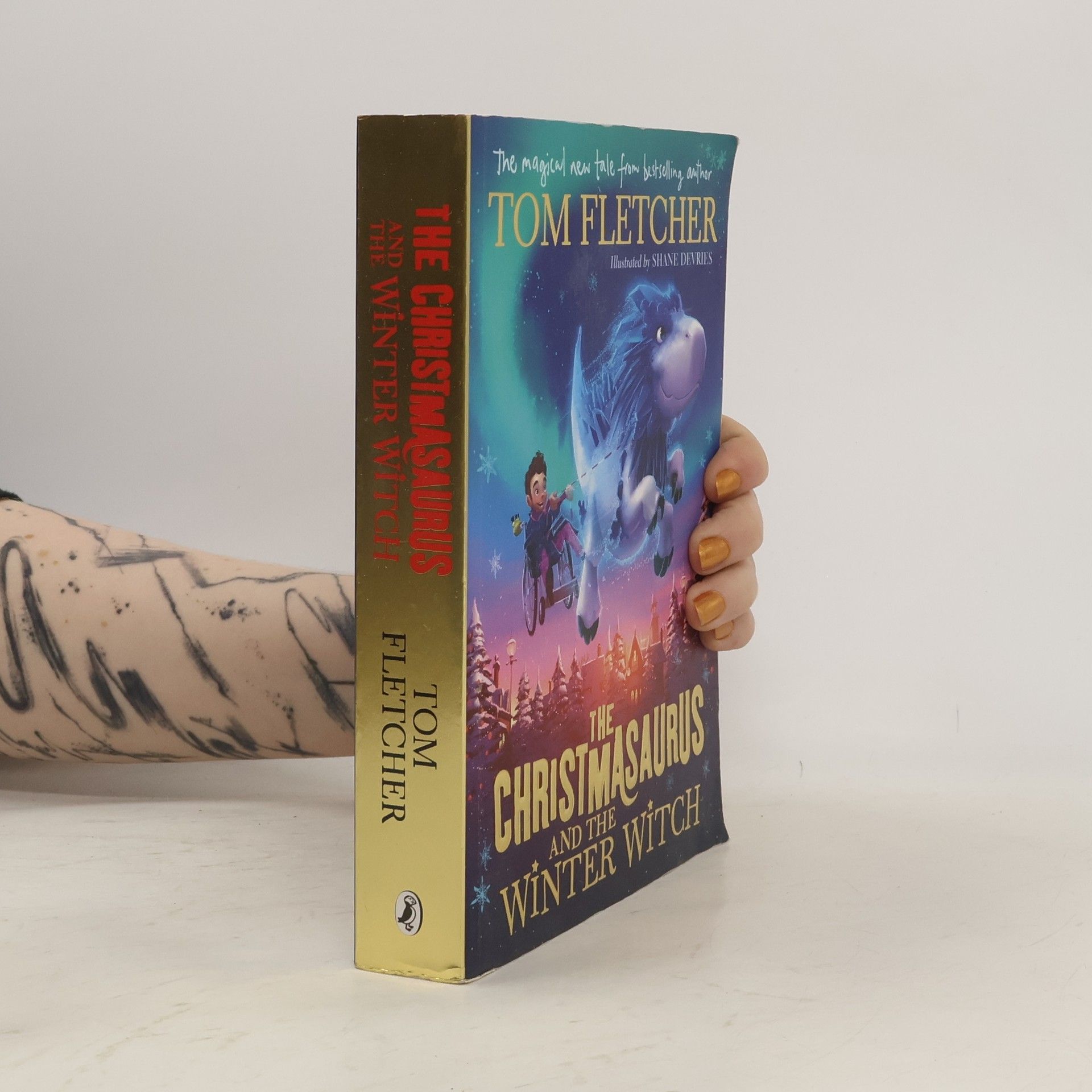 Tom Fletcher The Christmasaurus and the Winter Witch