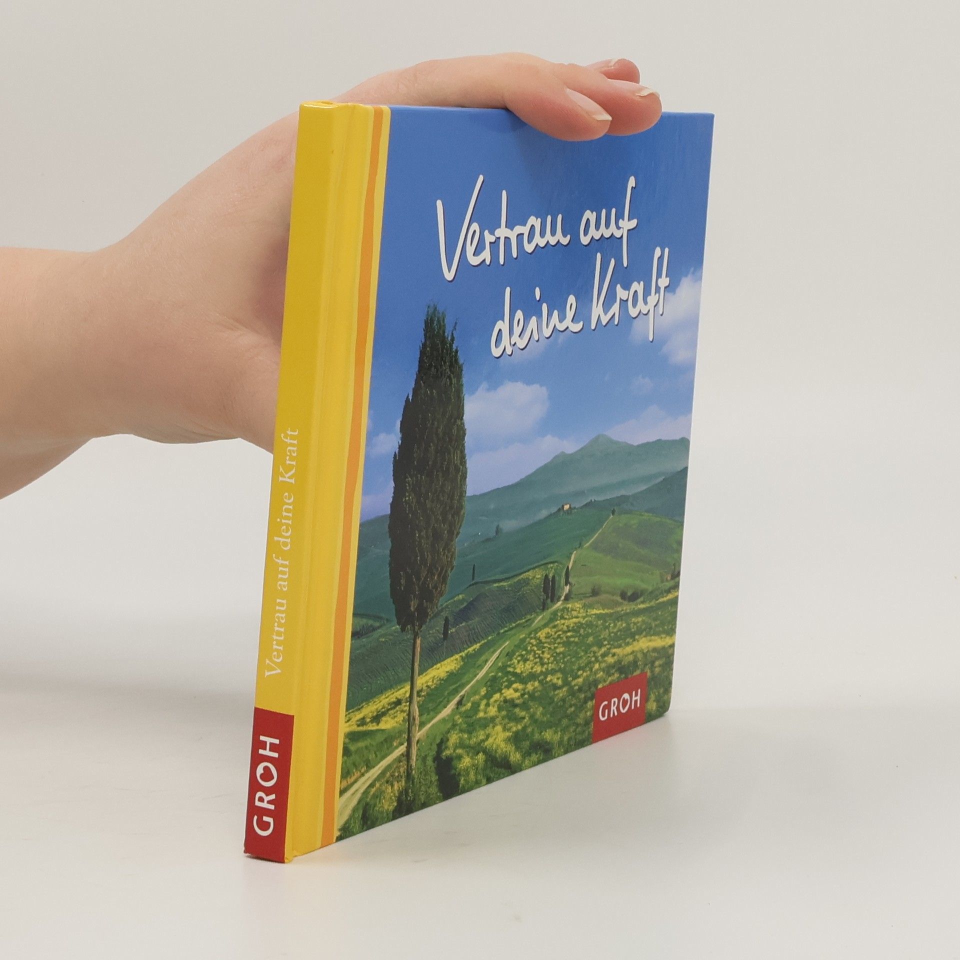 Ashley Lippert Vertrau auf deine Kraft