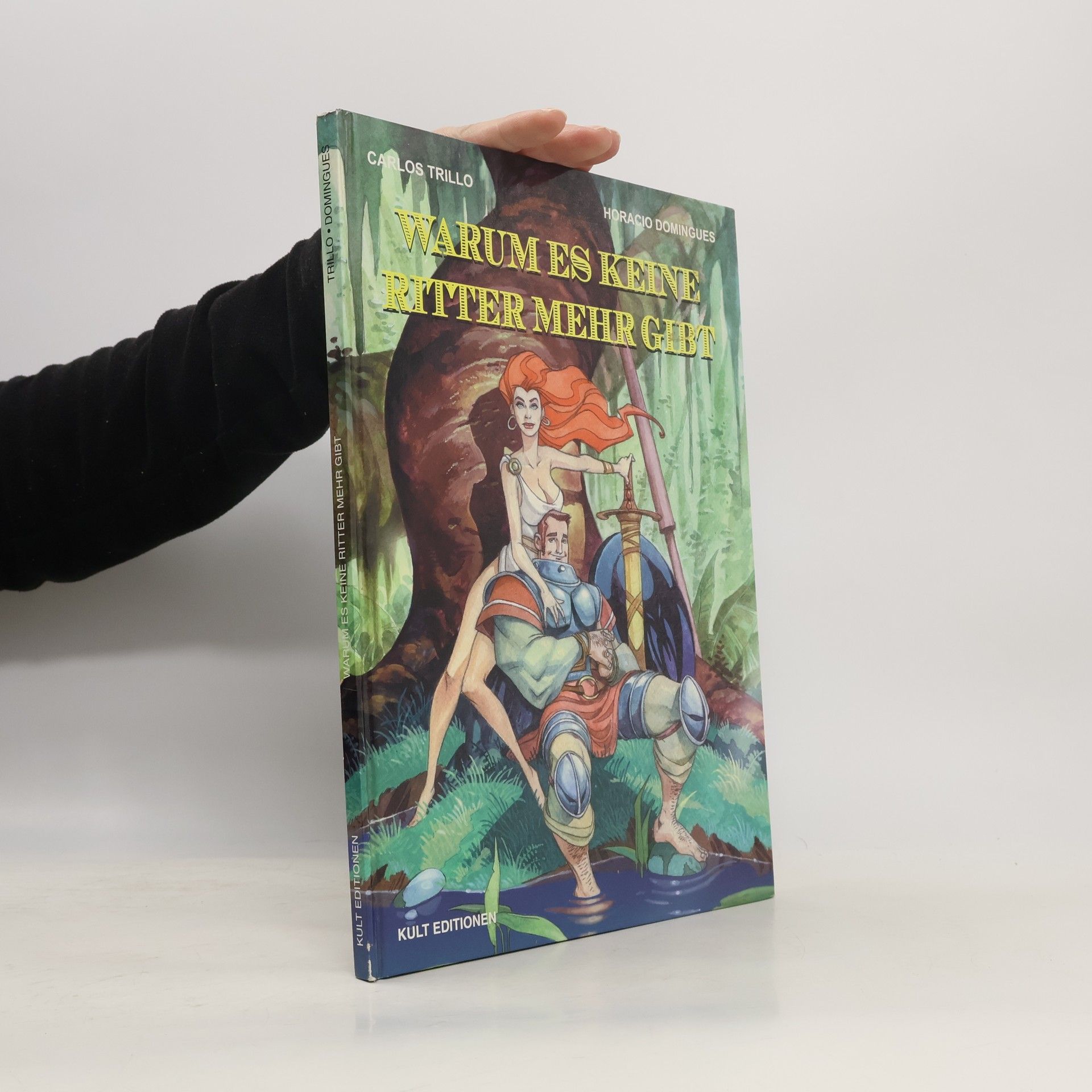 Warum es keine Ritter mehr gibt