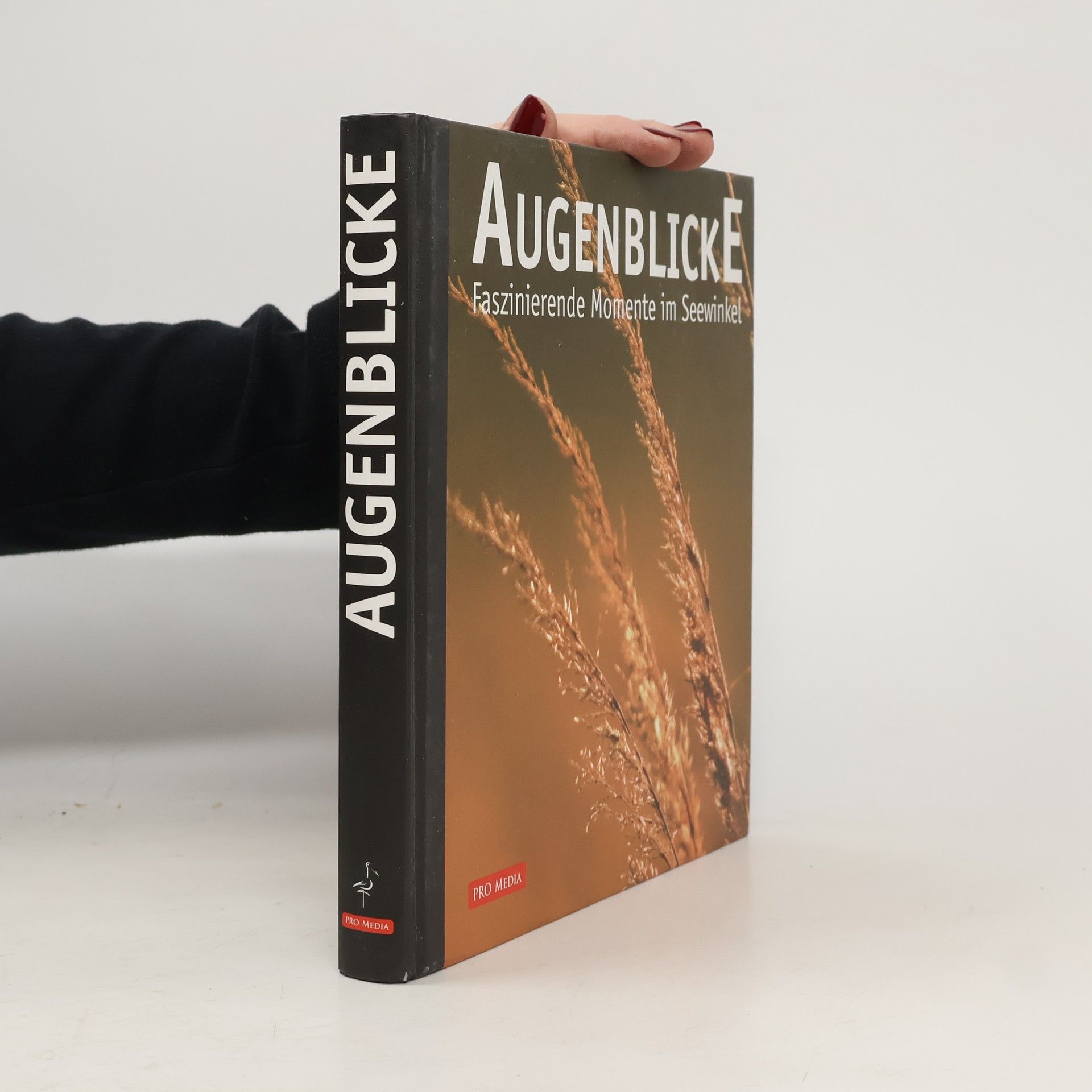 Various authors Augenblicke.Faszinierende Momente im Seewinkel
