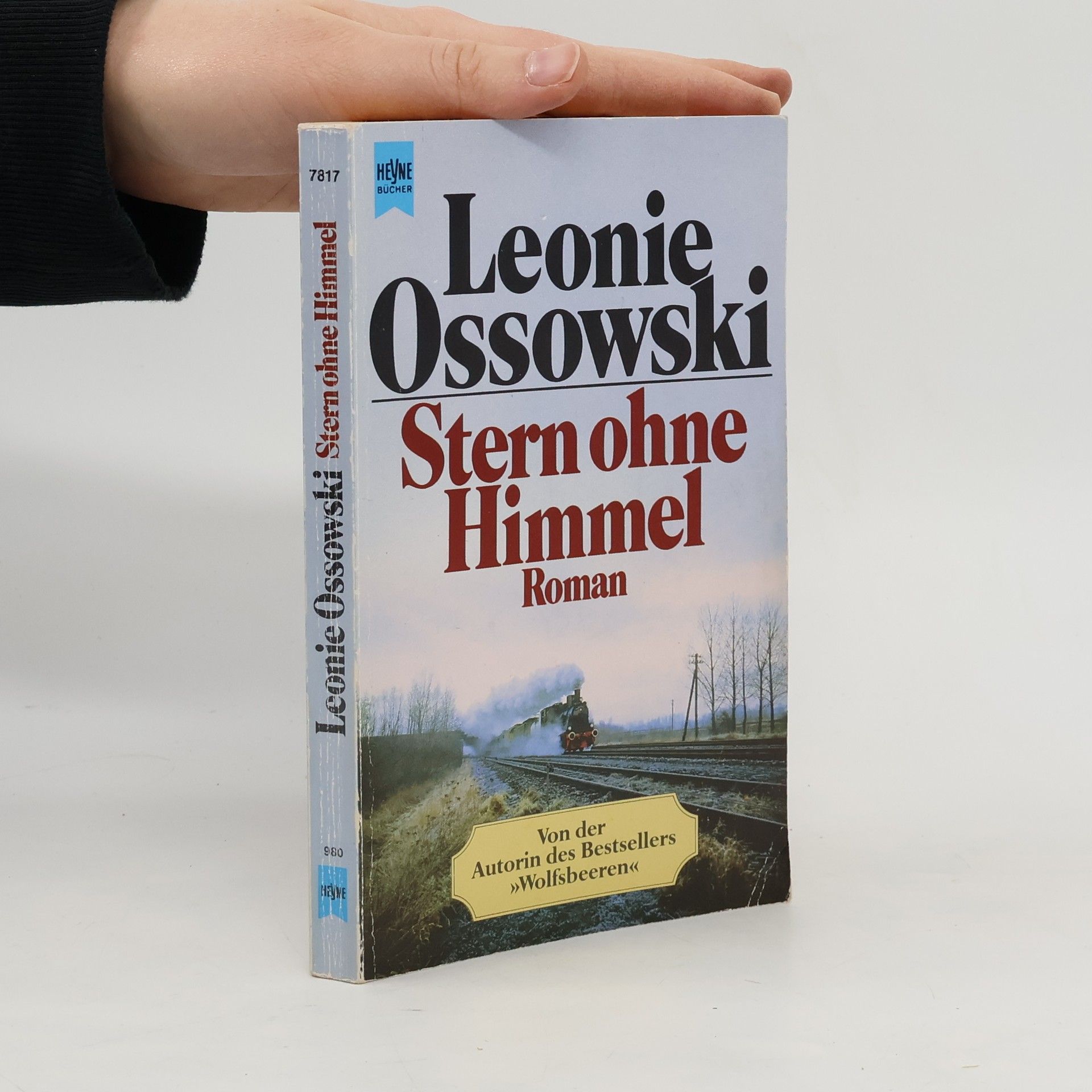 Leonie Ossowski Stern ohne Himmel