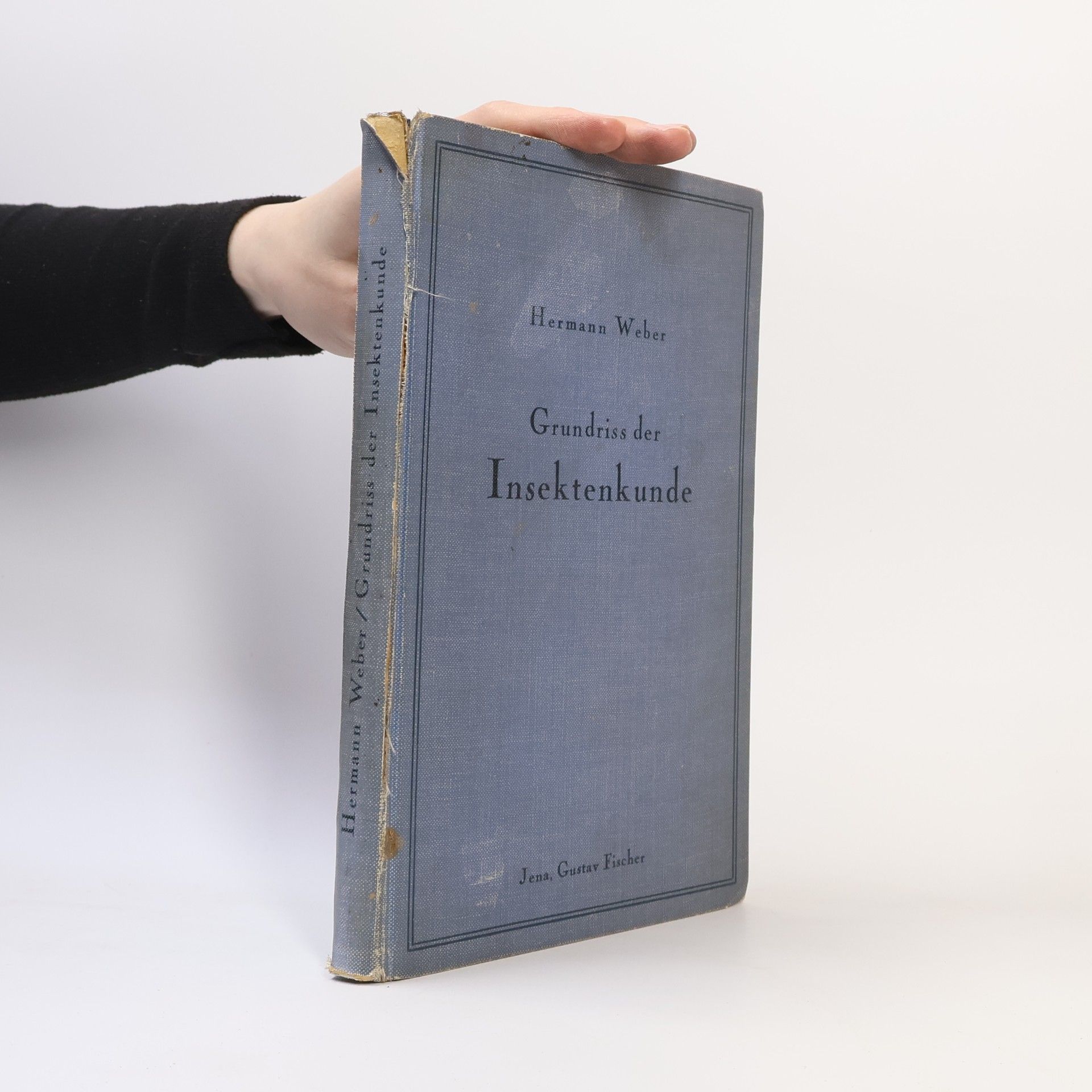 Hermann Weber Grundriss der Insektenkunde