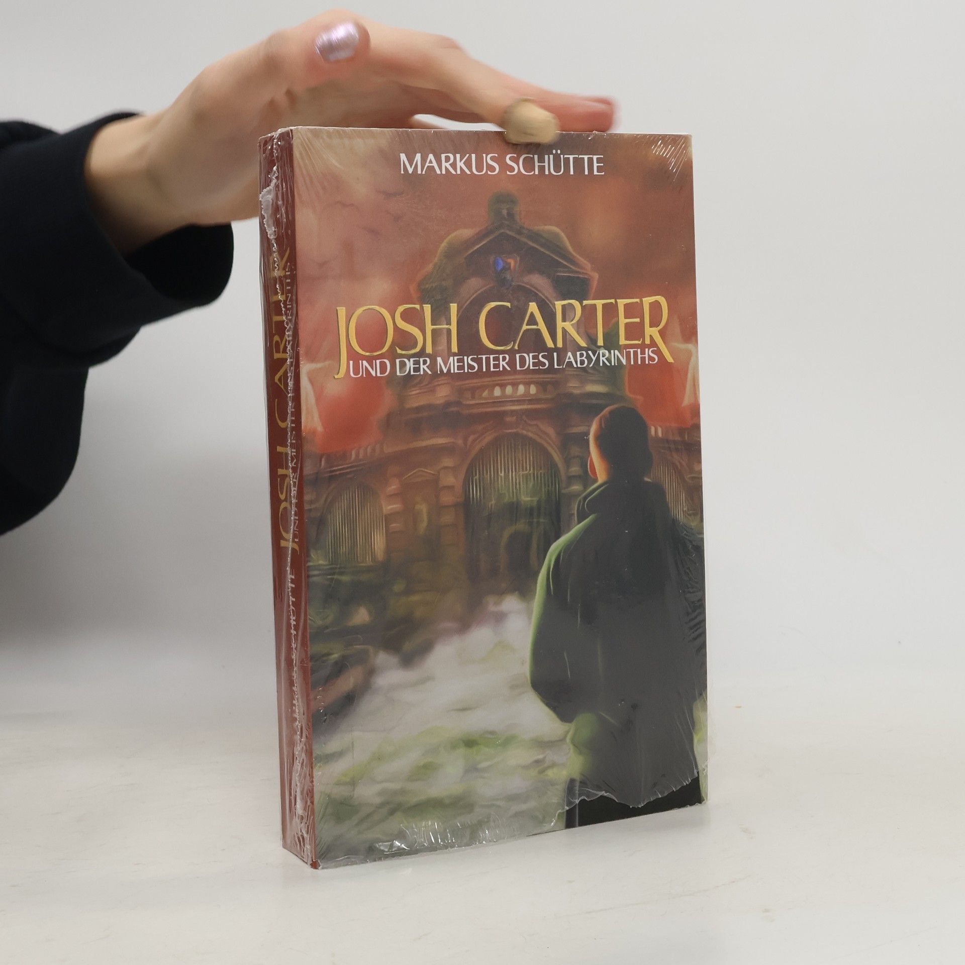 Markus Schütte Josh Carter und der Meister des Labyrinths