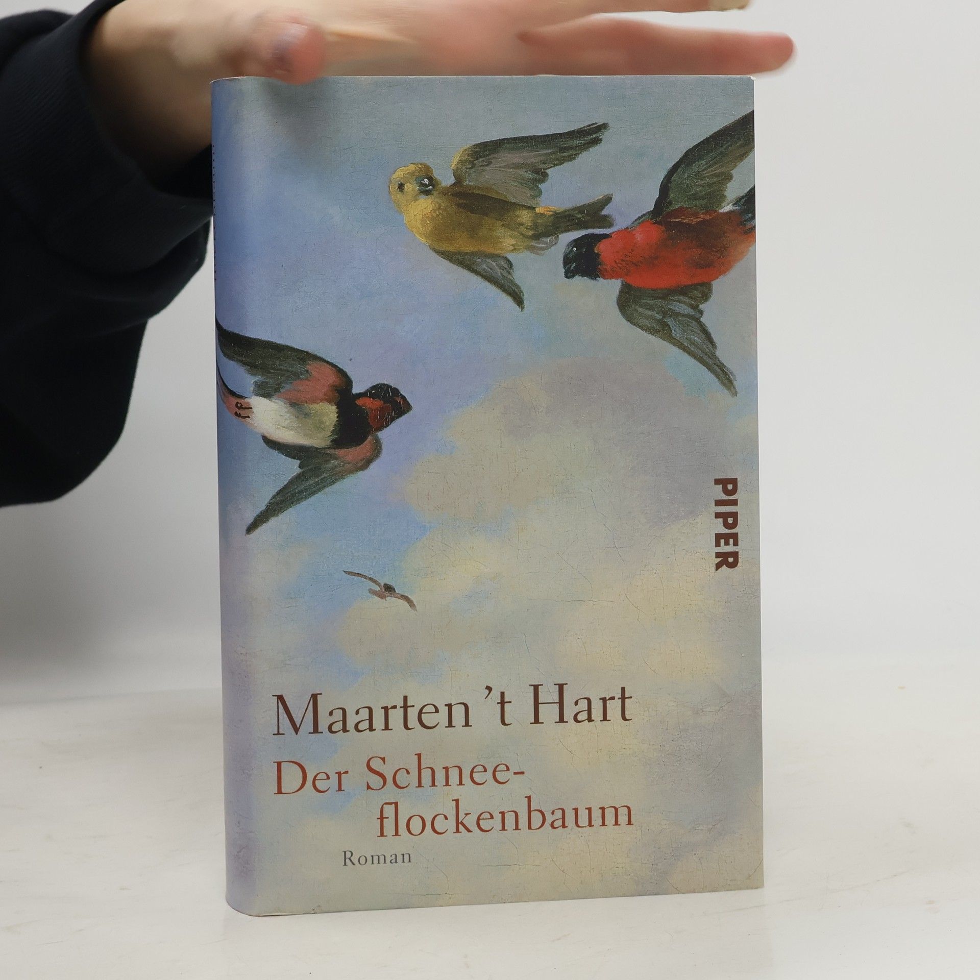 Martin Hart Der Schneeflockenbaum