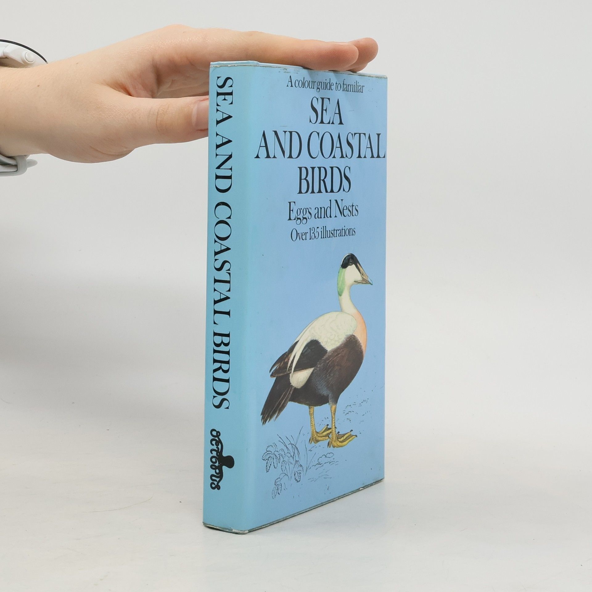 Jiří Felix A Colour Guide to Familiar Sea and Coastal Birds: Eggs and Nests