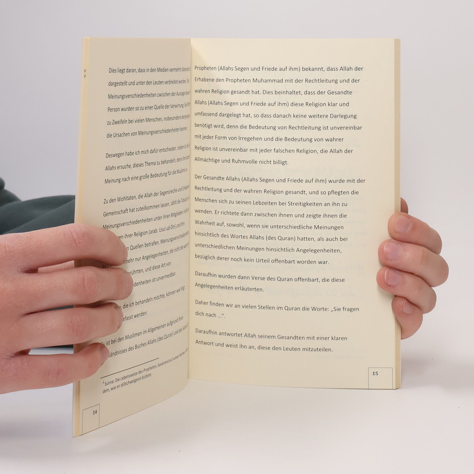 Feyzullah Birischik Der Teufel wird über dieses Buch sehr wütend sein