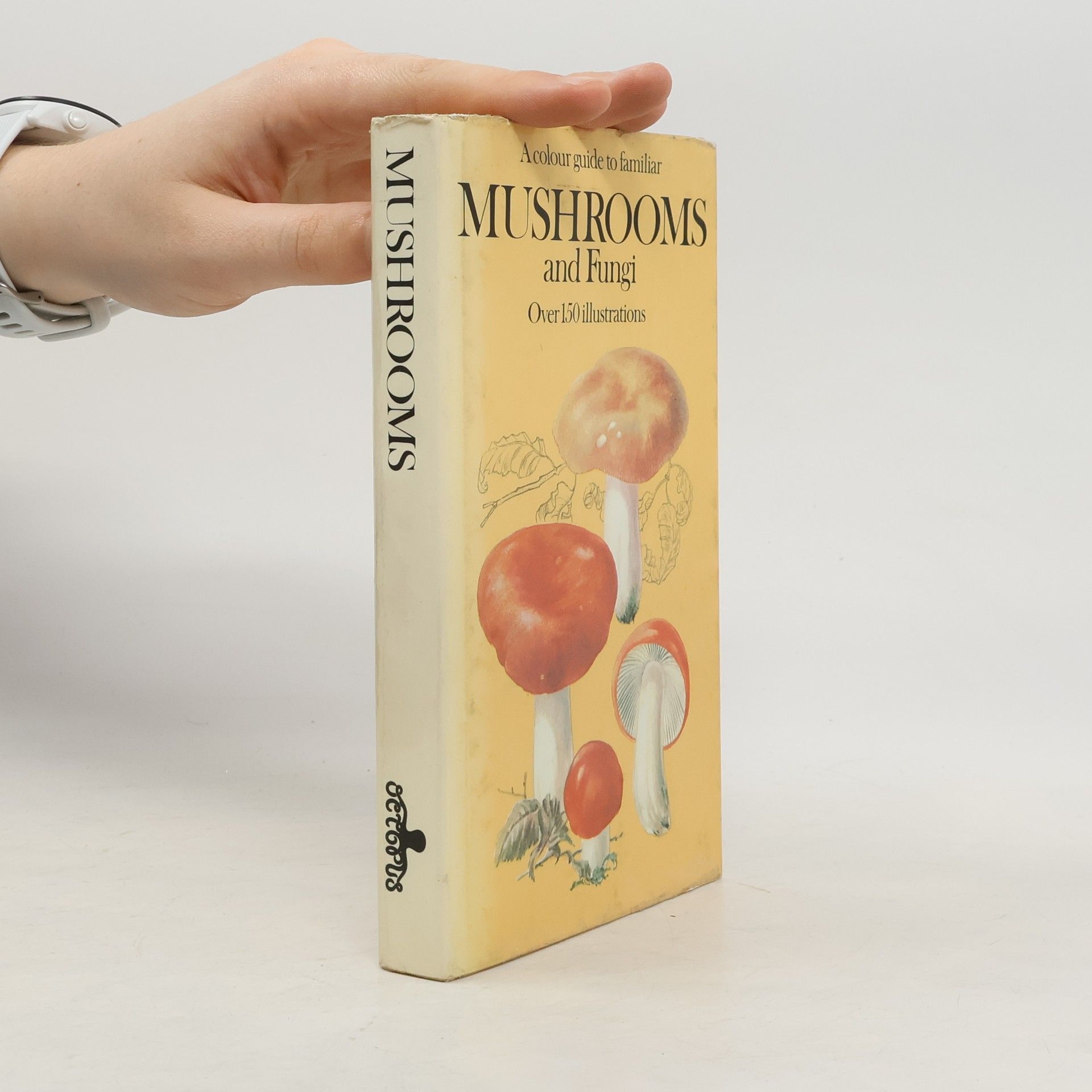 Kolektiv autorů Mushrooms and Fungi