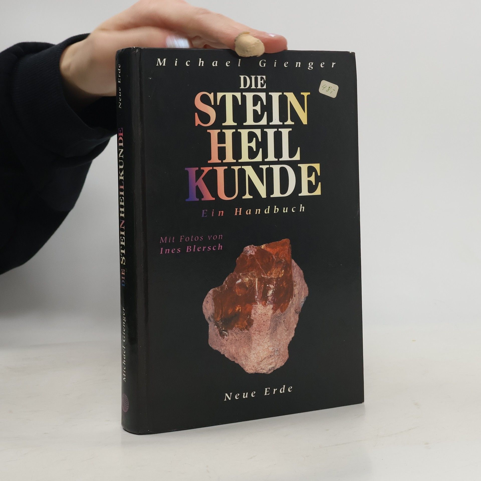 Michael Gienger Die Steinheilkunde